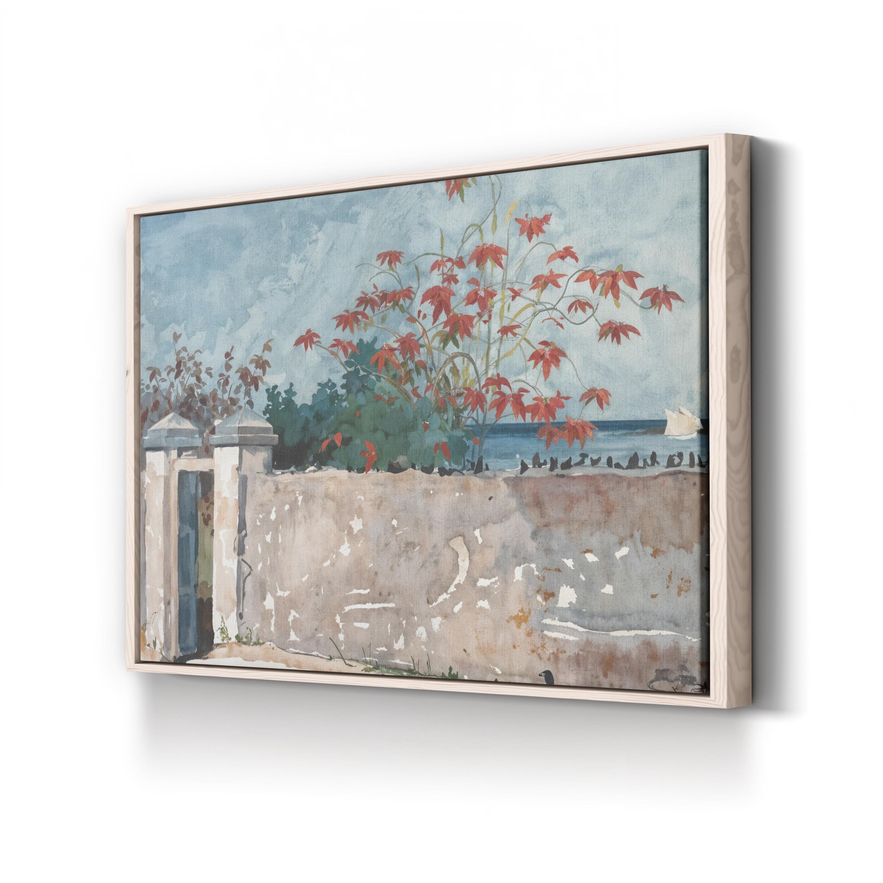 A Wall, Nassau by Winslow Homer canvas print in a natural wood frame