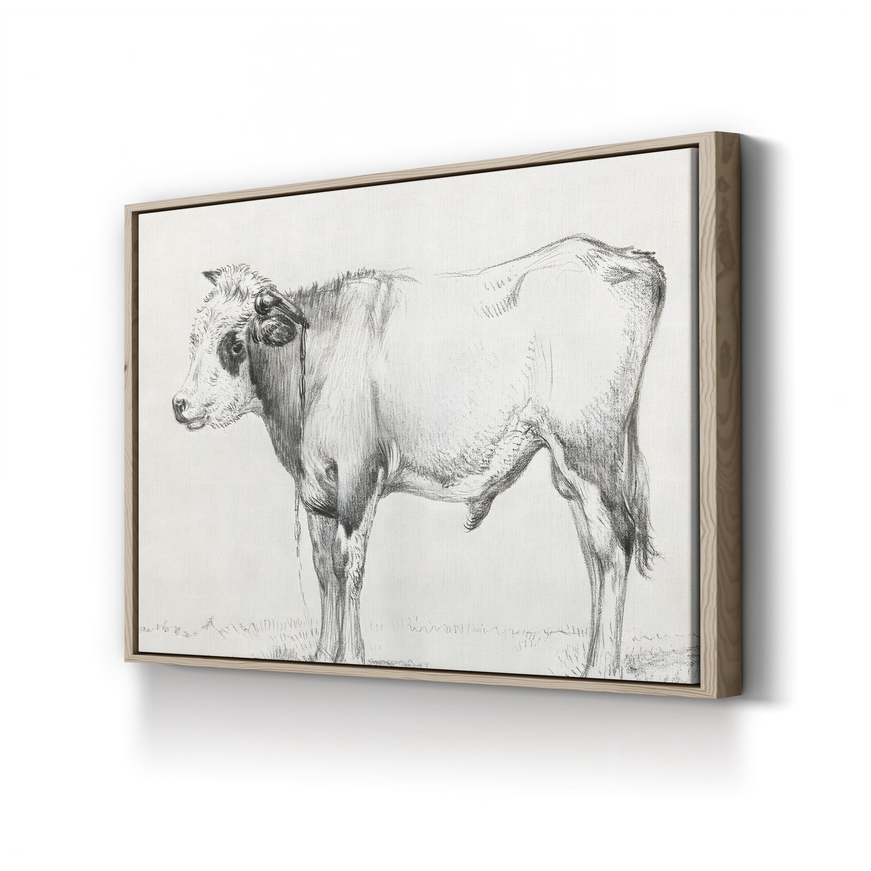 Bernard’s Bull Renderings Black and White Rustic III Wall Art by Jean Bernard