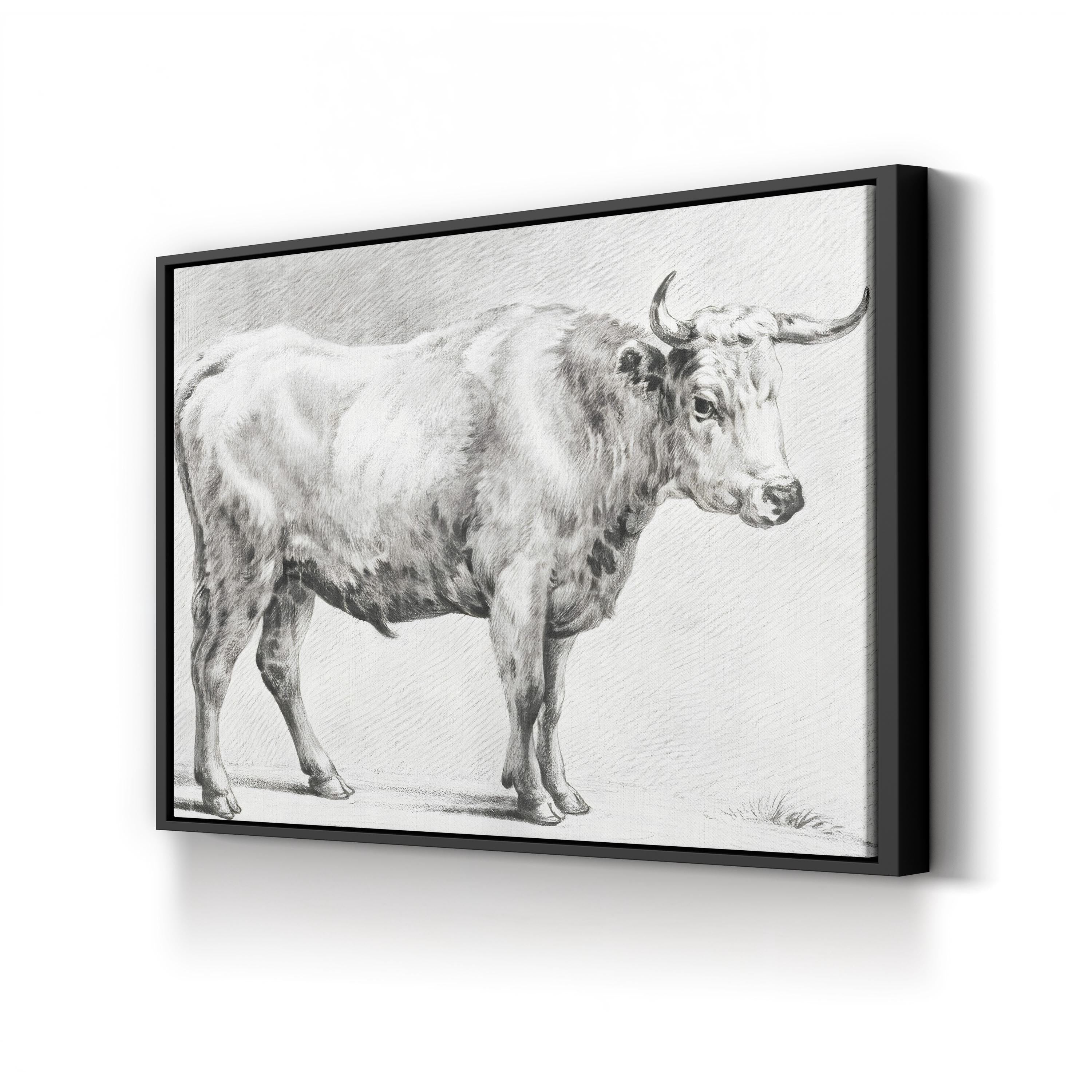 Bernard’s Bull Renderings Black and White Rustic IV Wall Art by Jean Bernard