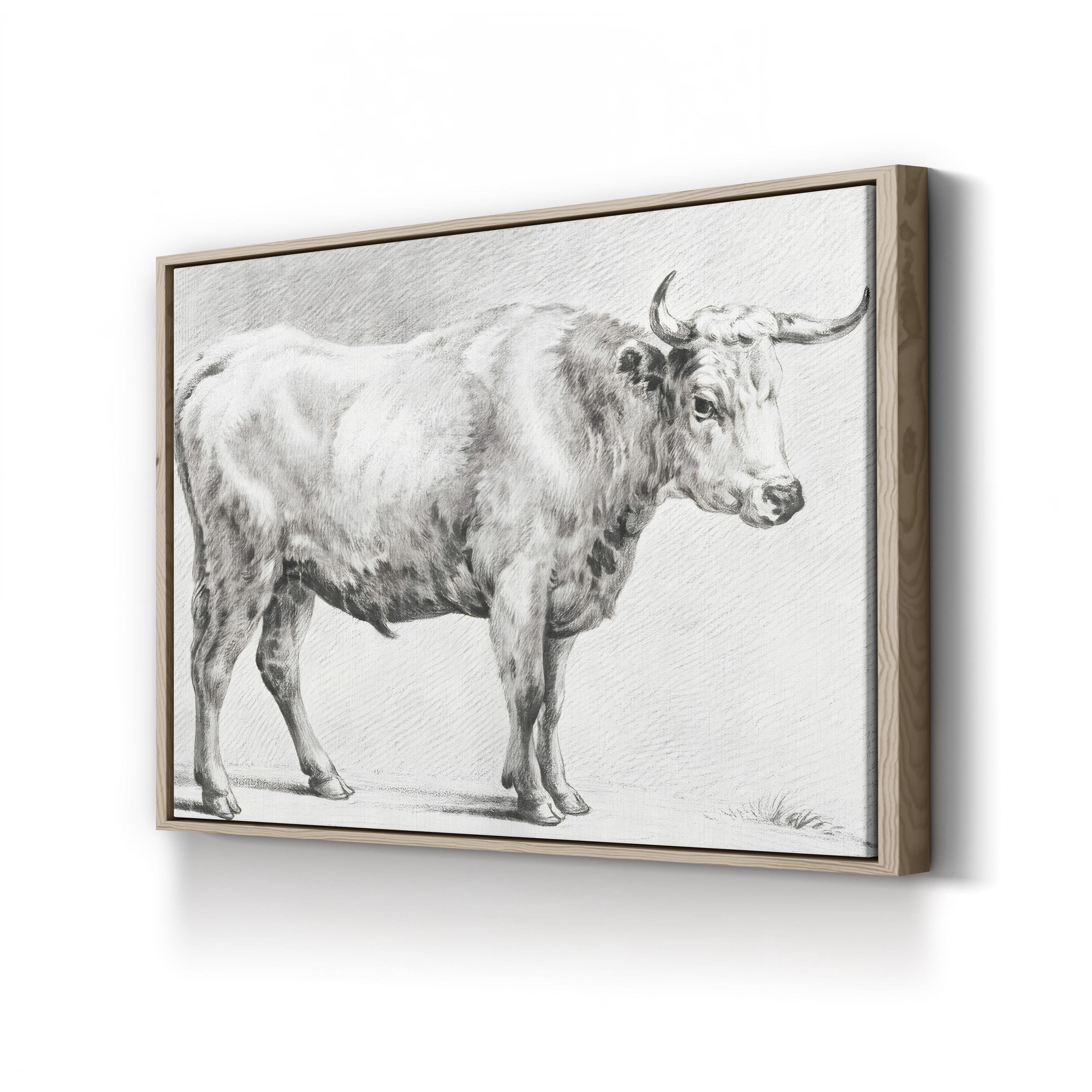 Bernard’s Bull Renderings Black and White Rustic IV Wall Art by Jean Bernard