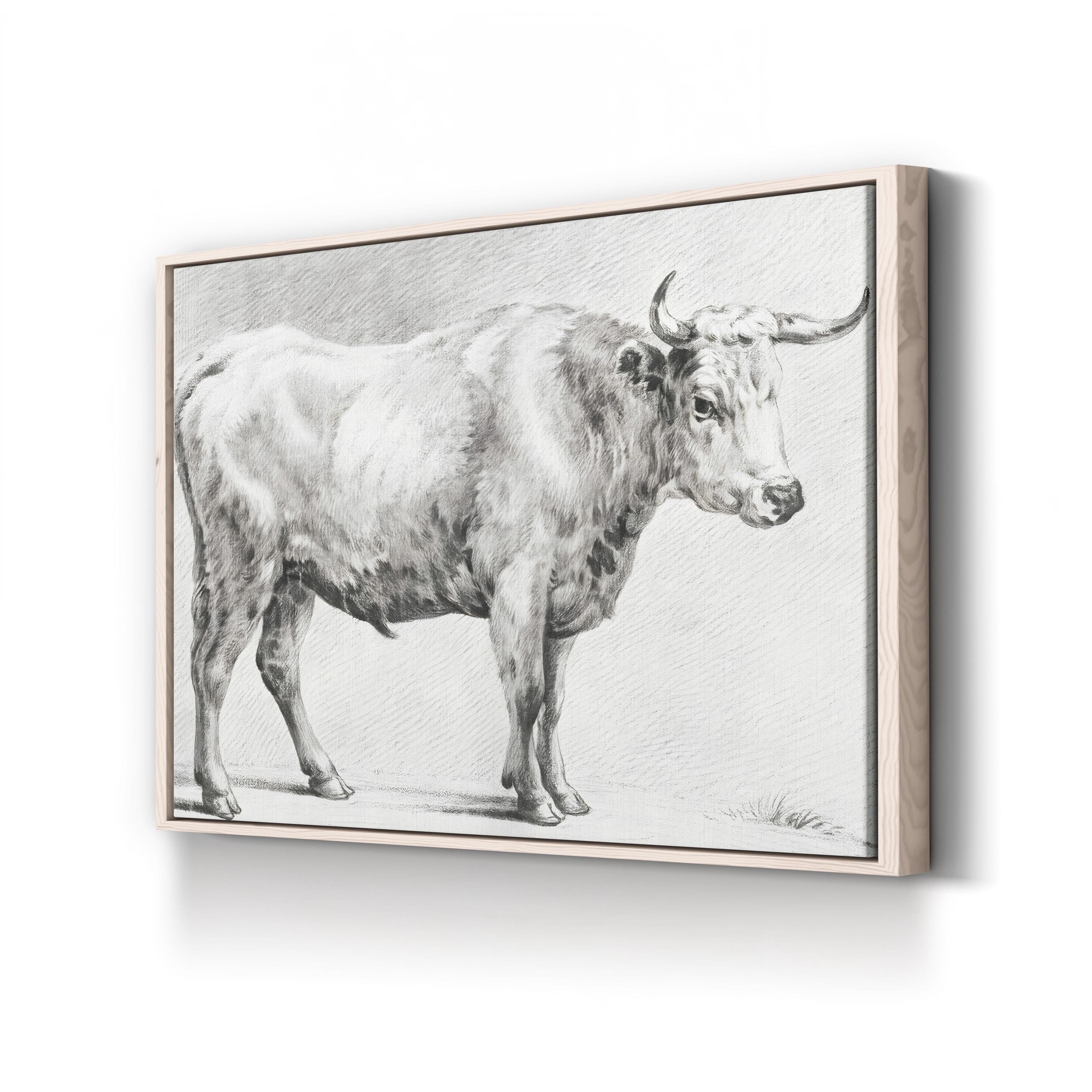 Bernard’s Bull Renderings Black and White Rustic IV Wall Art by Jean Bernard