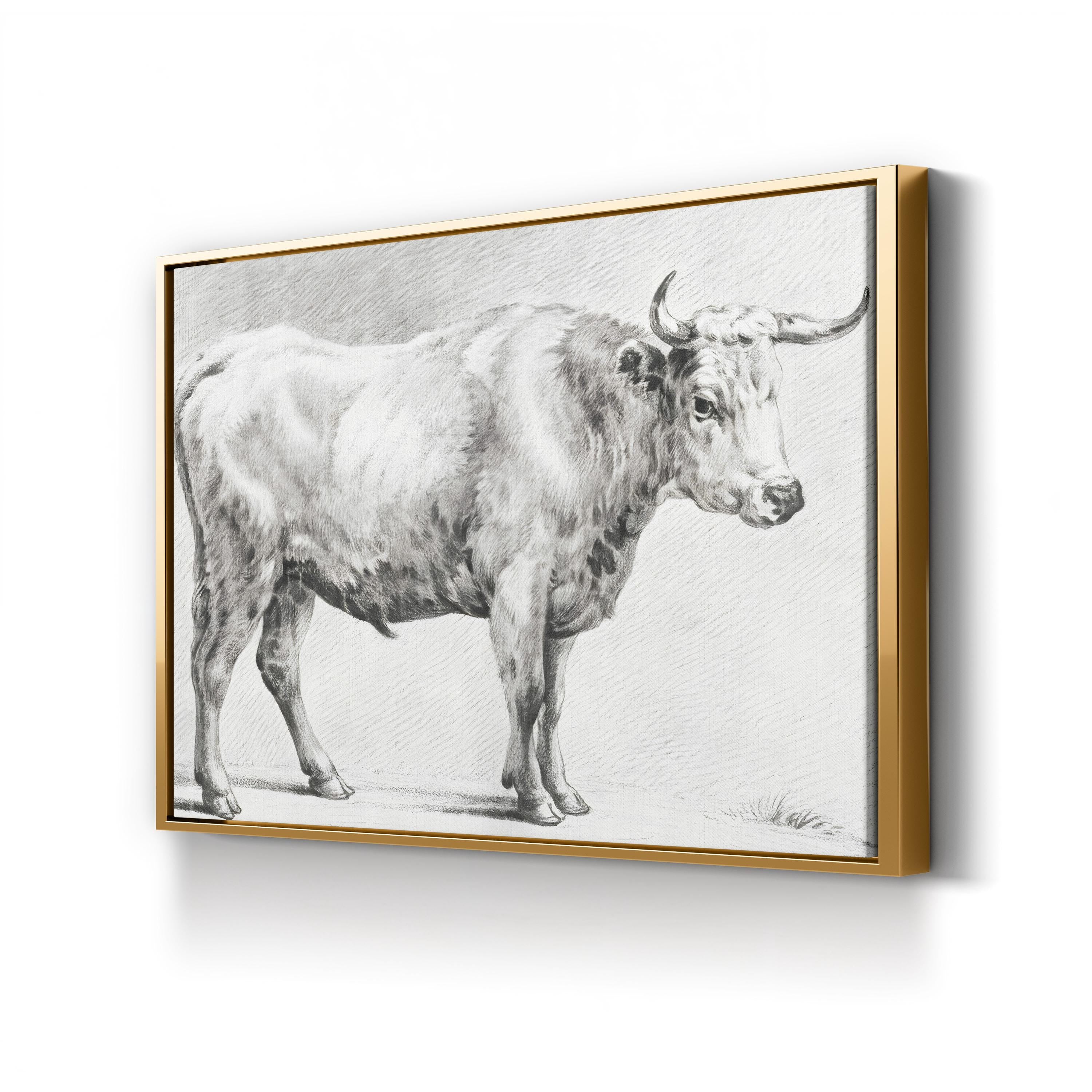 Bernard’s Bull Renderings Black and White Rustic IV Wall Art by Jean Bernard
