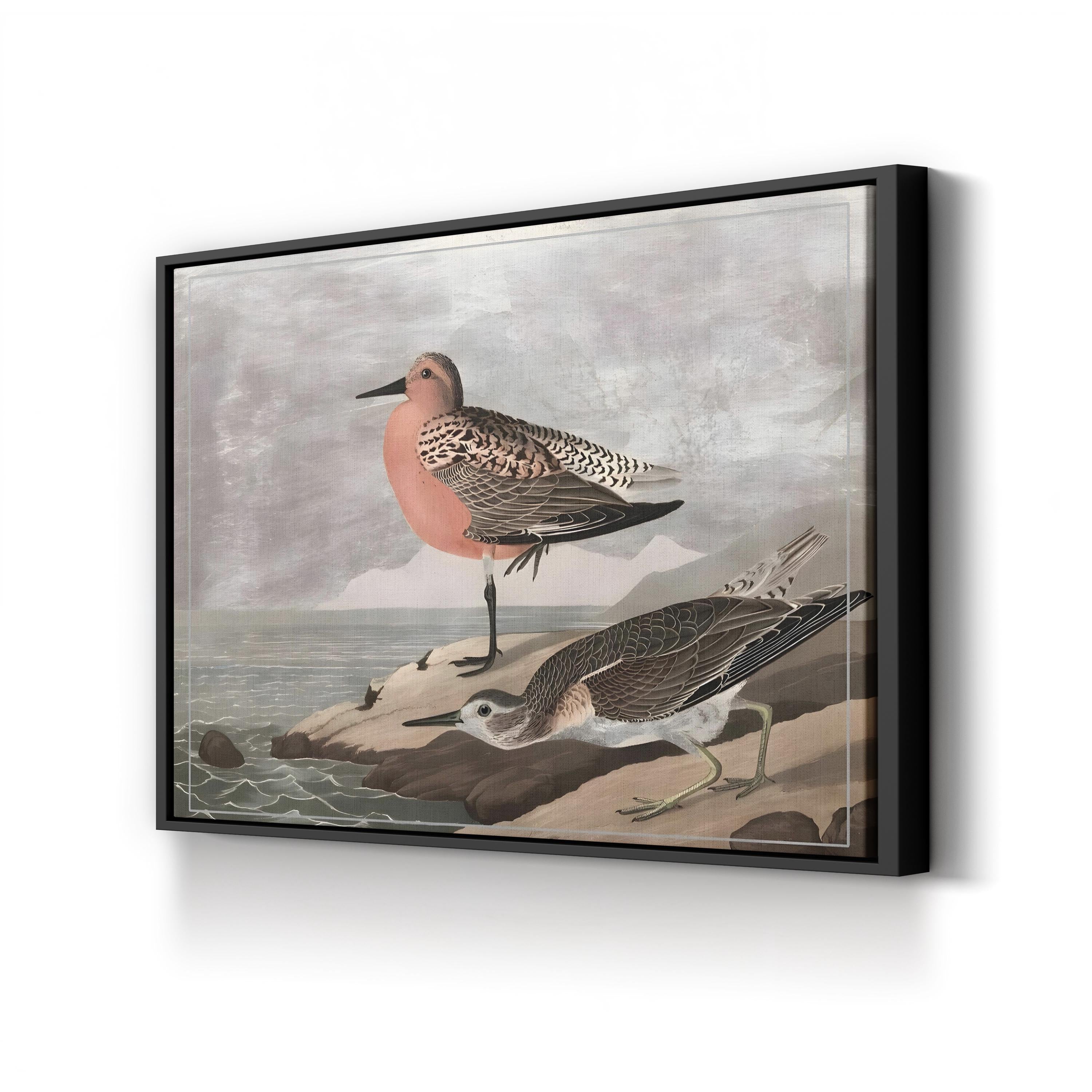 Gilded Sandpipers Shore – Period Illustration Wall Art | Coastal Bird Canvas Print