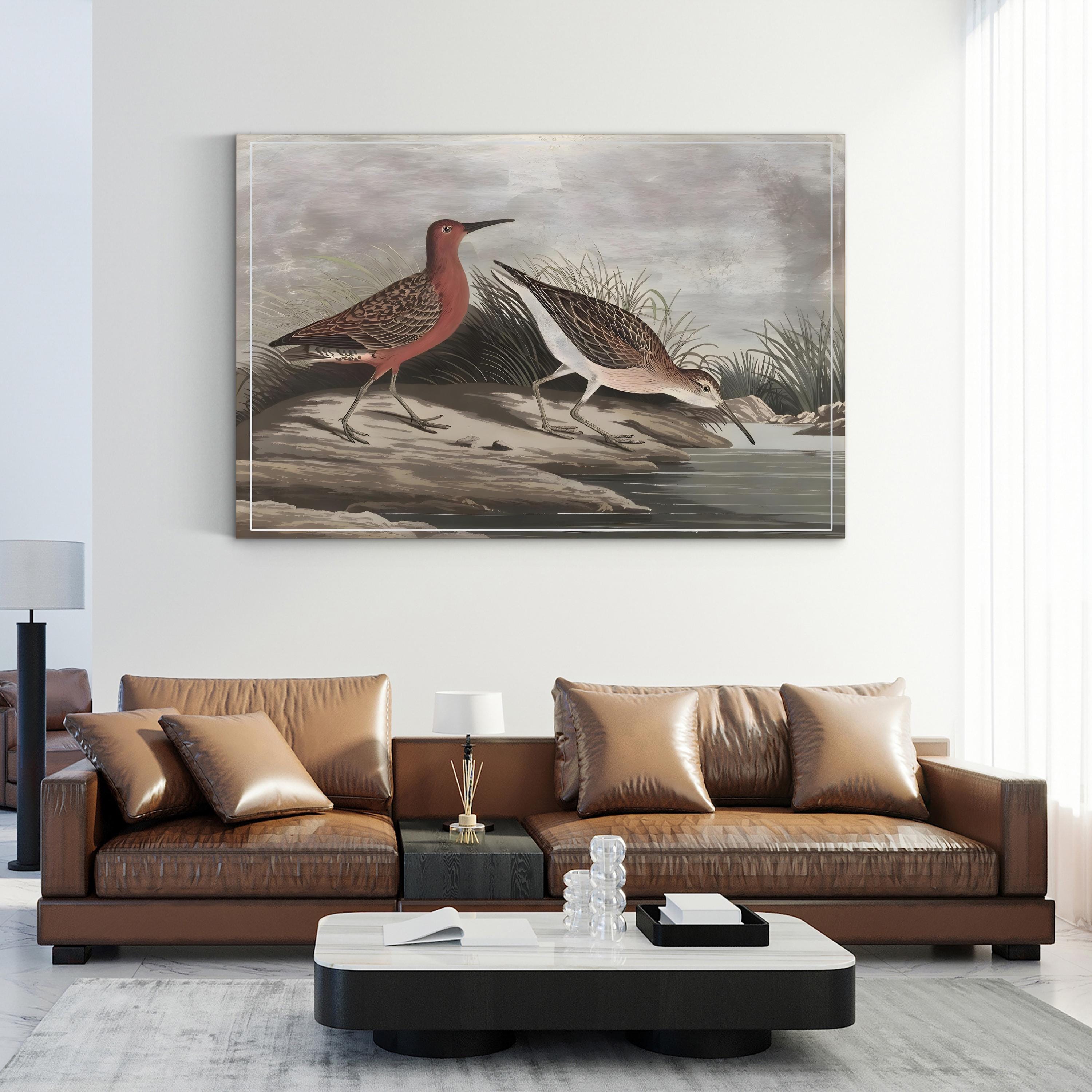 19th-Century Sandpipers – Period Illustration Wall Art | Coastal Bird Canvas Print
