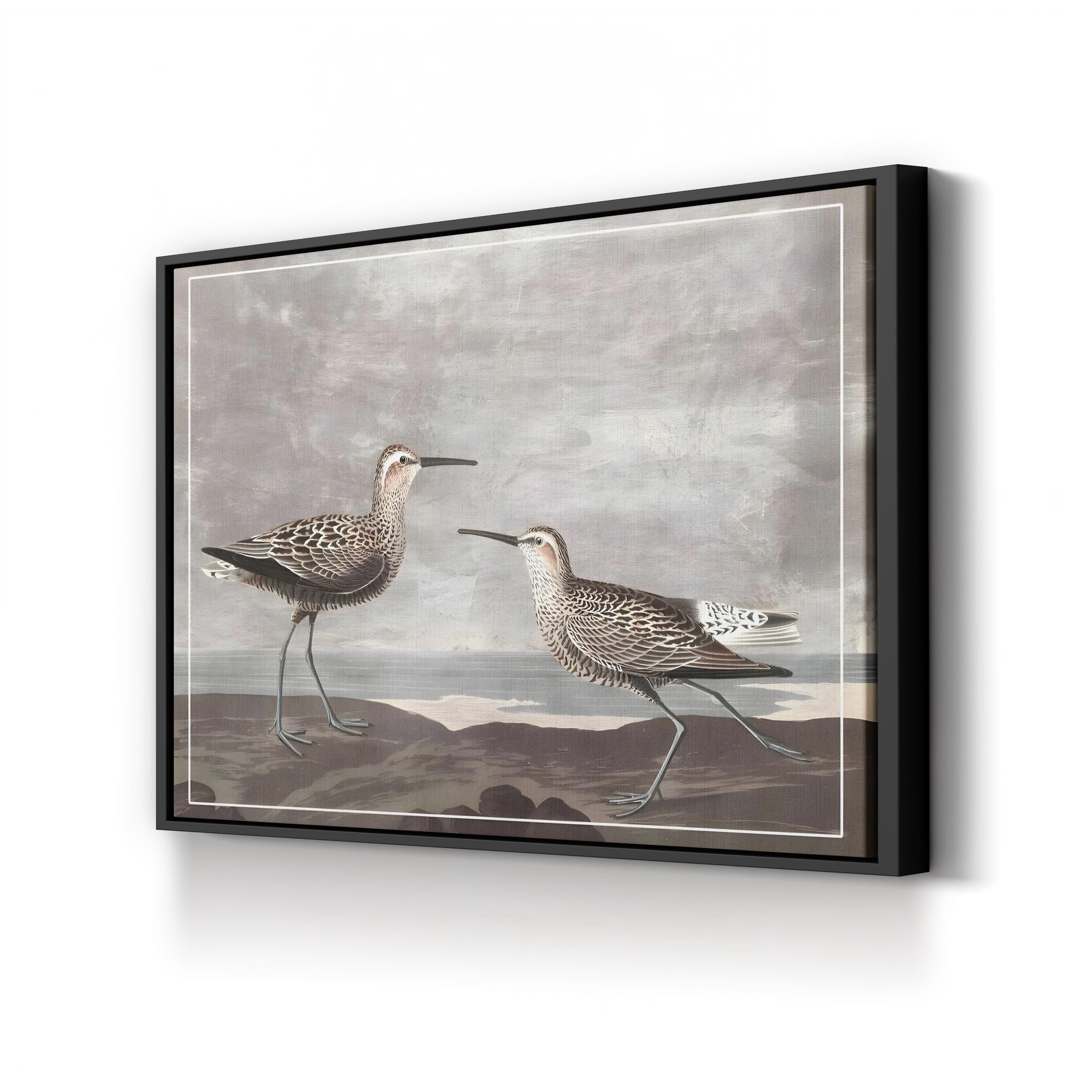 Gilded Sandpipers III – Audubon Shorebird Illustration Wall Art by John James Audubon