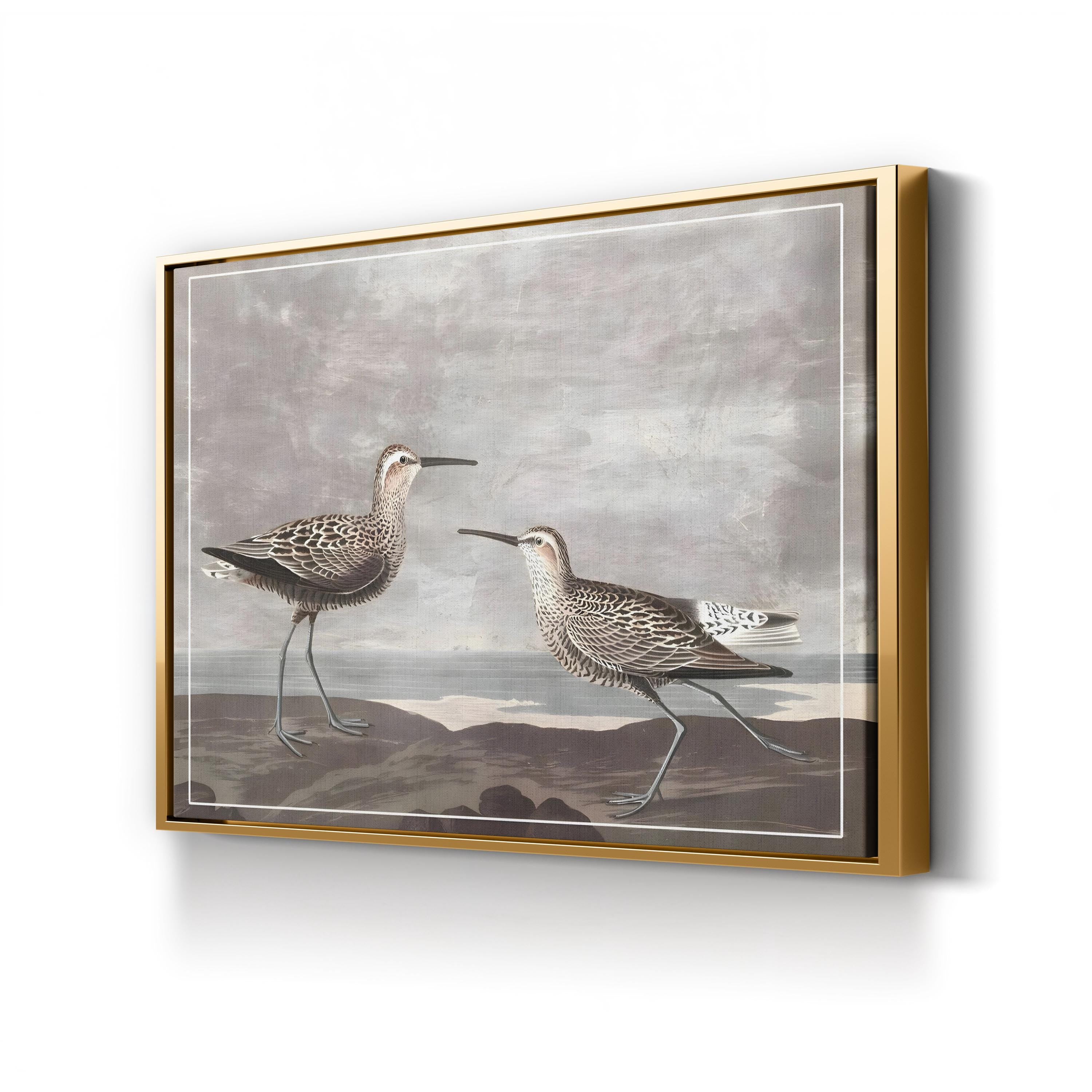 Gilded Sandpipers III – Audubon Shorebird Illustration Wall Art by John James Audubon