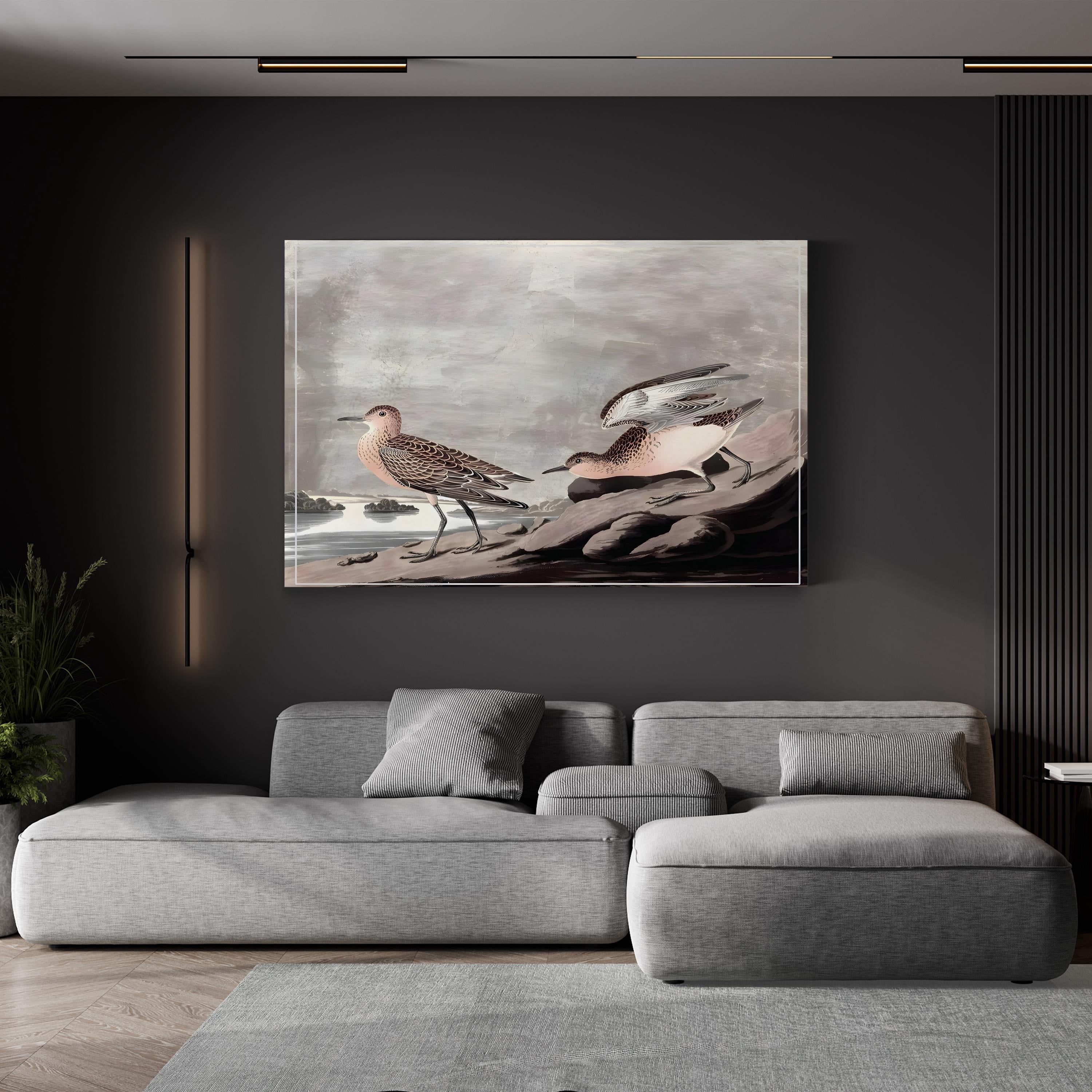 Buff-Breasted Sandpiper, by John James Audubon canvas print displayed in a gray sofa living room
