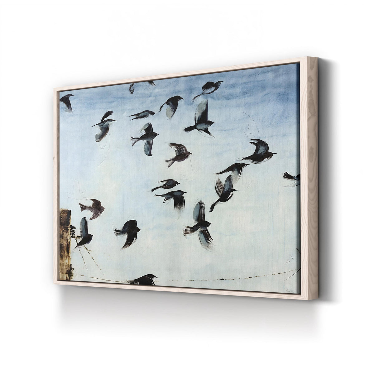 Sparrows, by Kari Taylor canvas print in natural frame