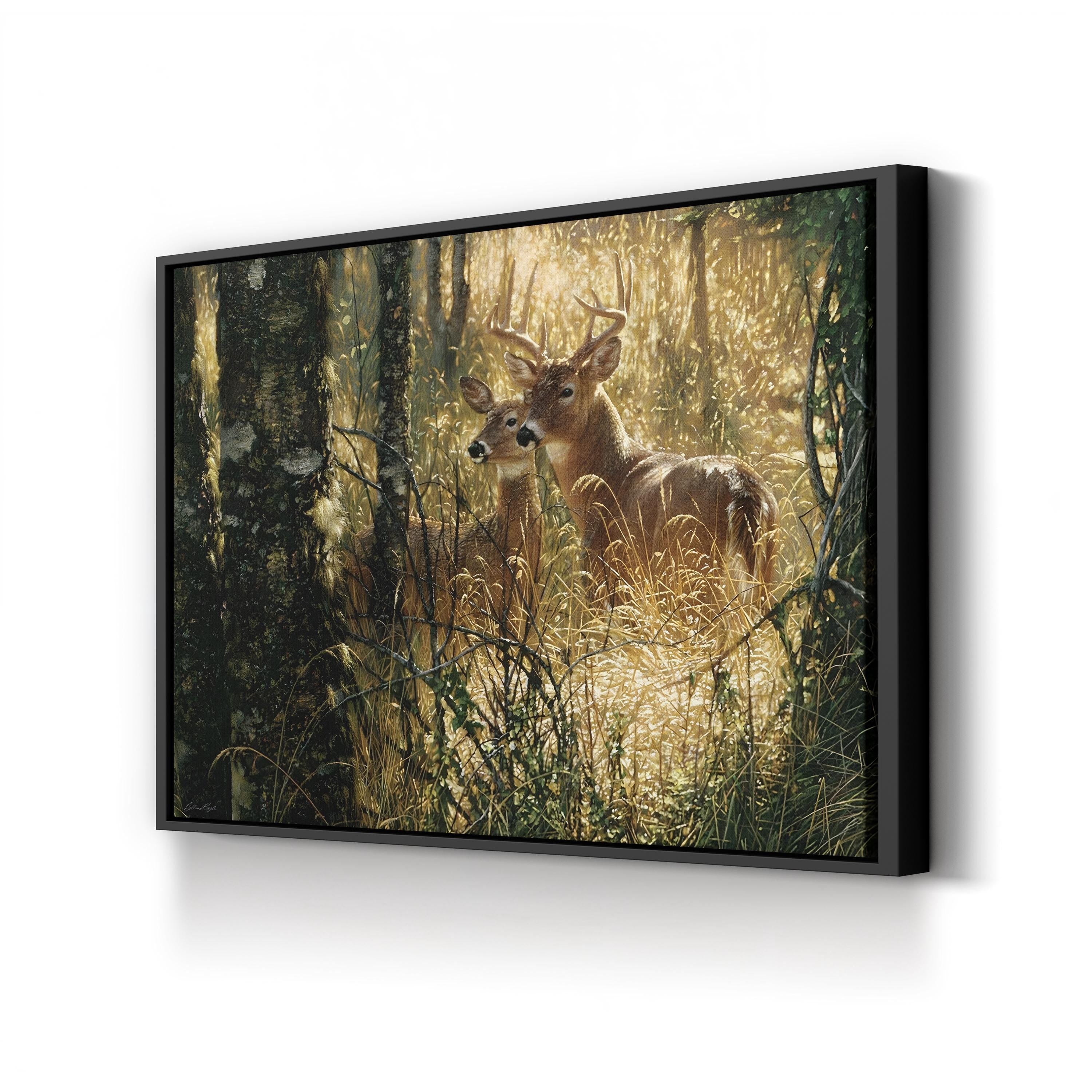 Whitetail Deer in Misty Forest – Vintage Photography Wall Art | Wildlife Canvas Print