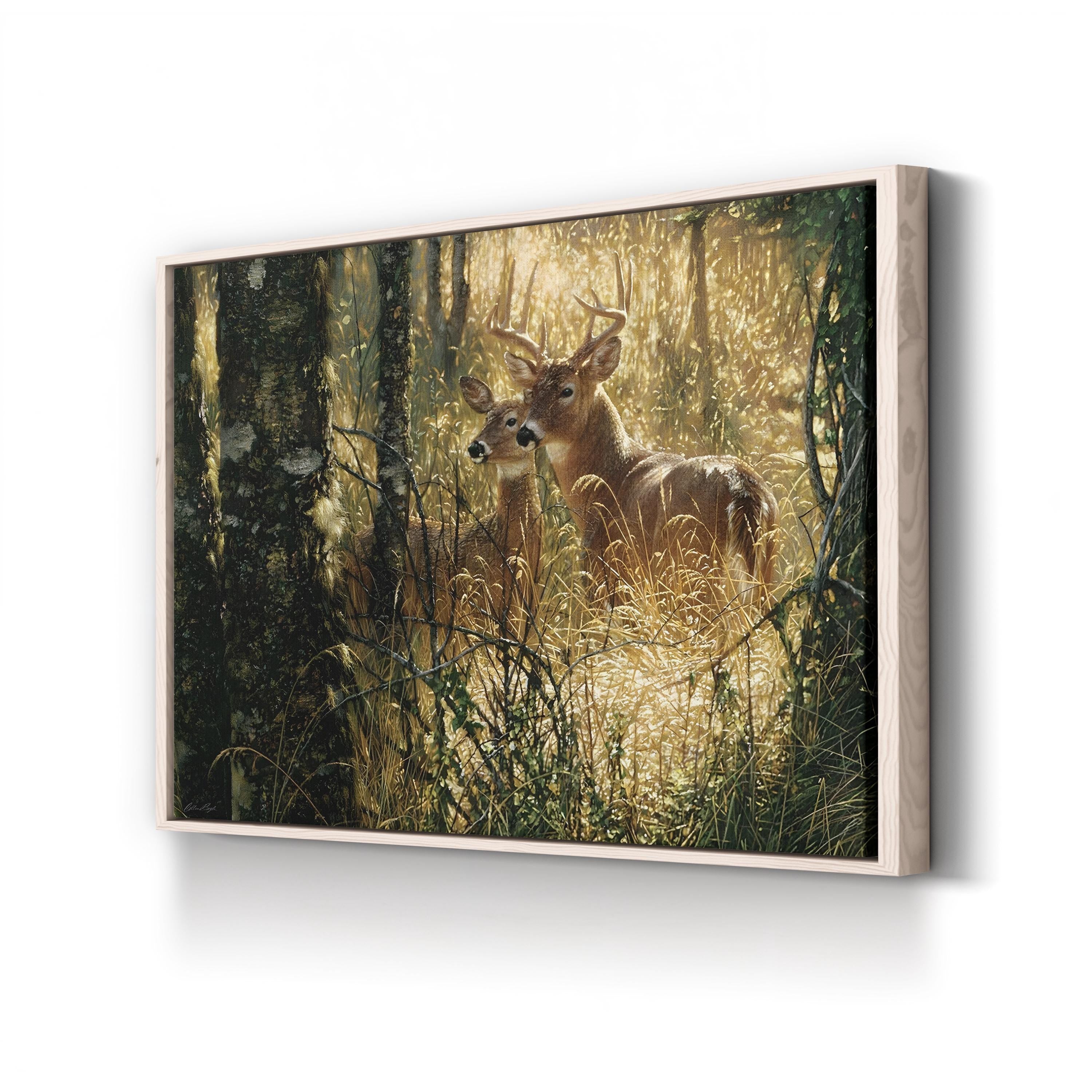 Whitetail Deer in Misty Forest – Vintage Photography Wall Art | Wildlife Canvas Print