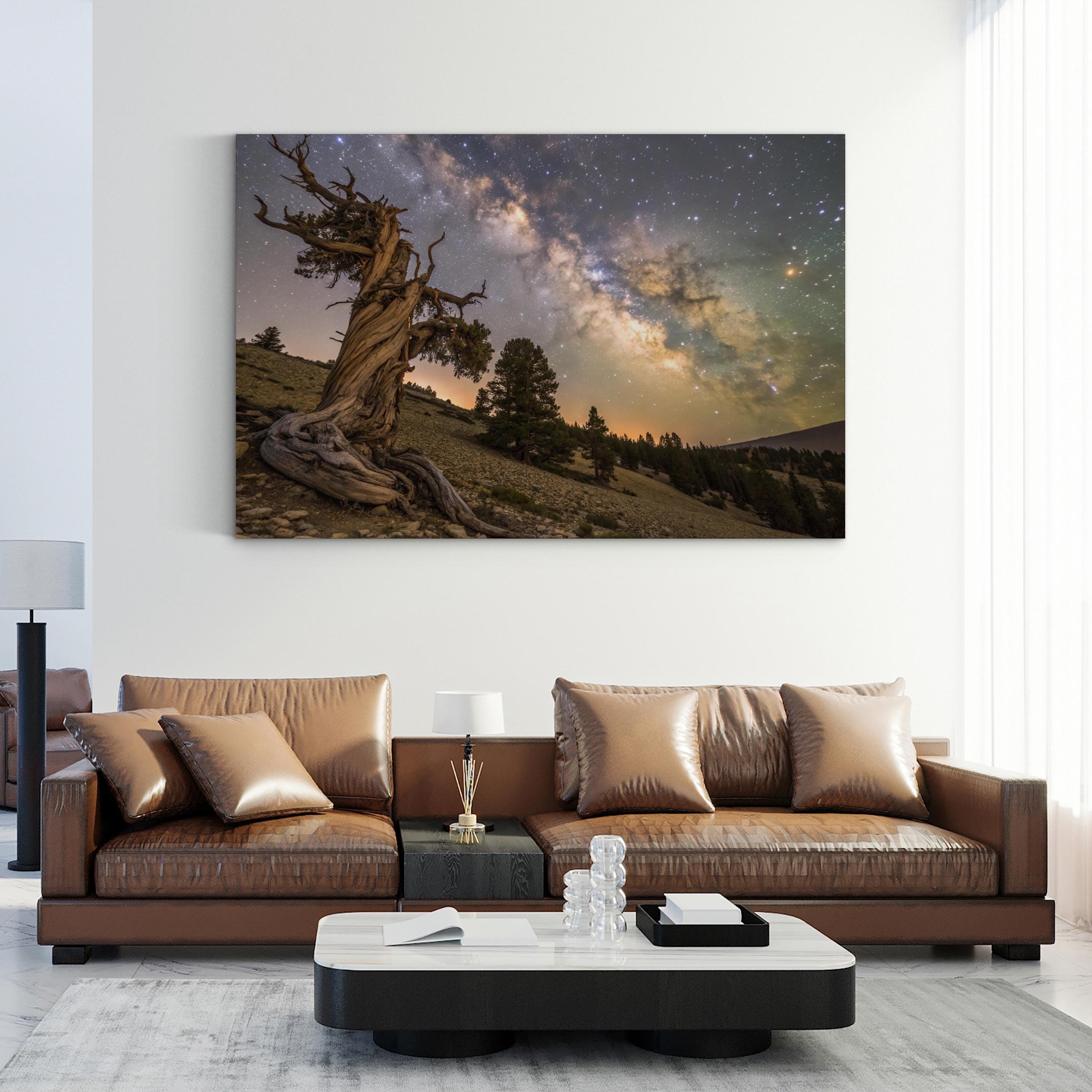 Bristlecone Pine – Vintage Photography Wall Art | California Mountain Canvas Print