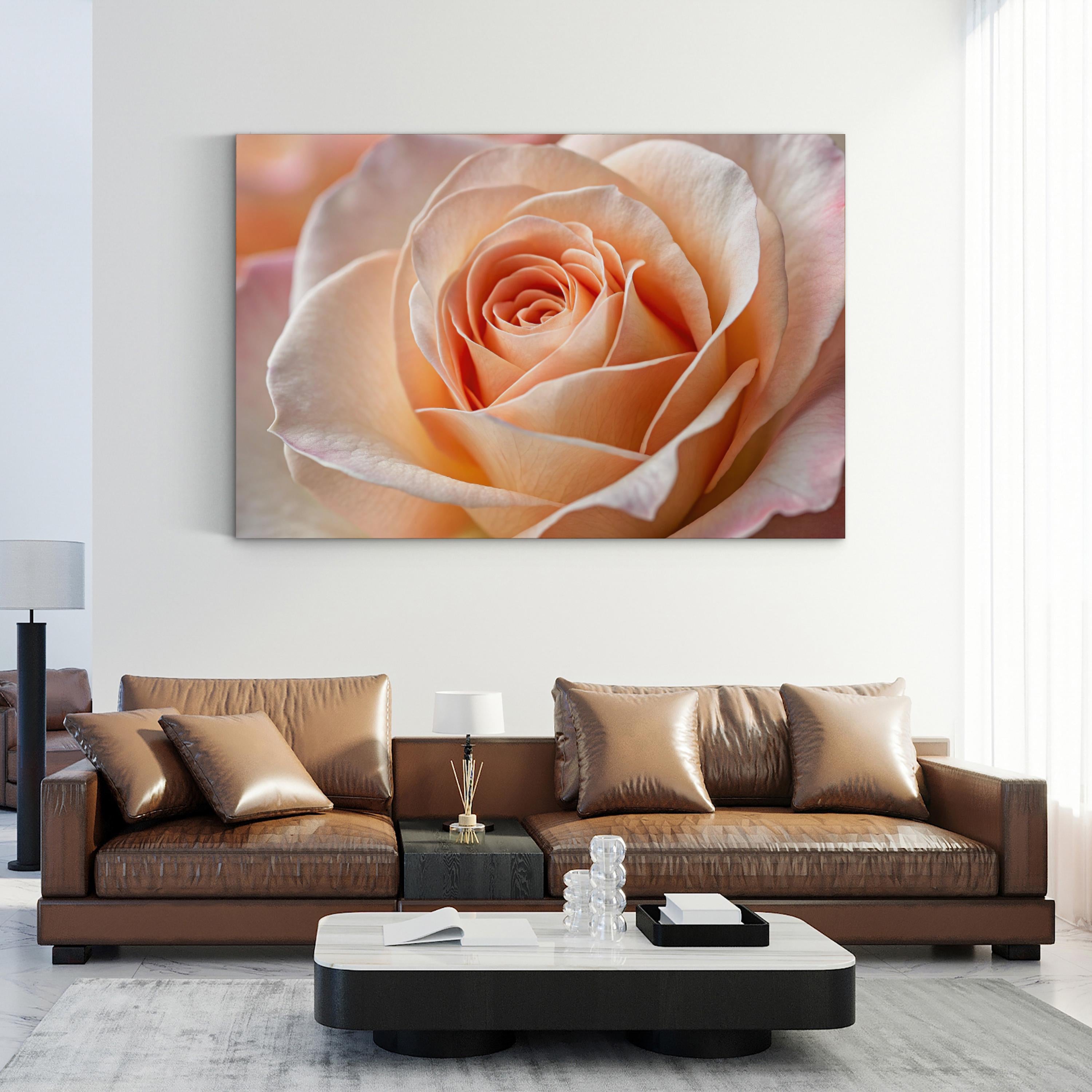 Peach Rose – Vintage Photography Wall Art | Elegant Floral Canvas Print