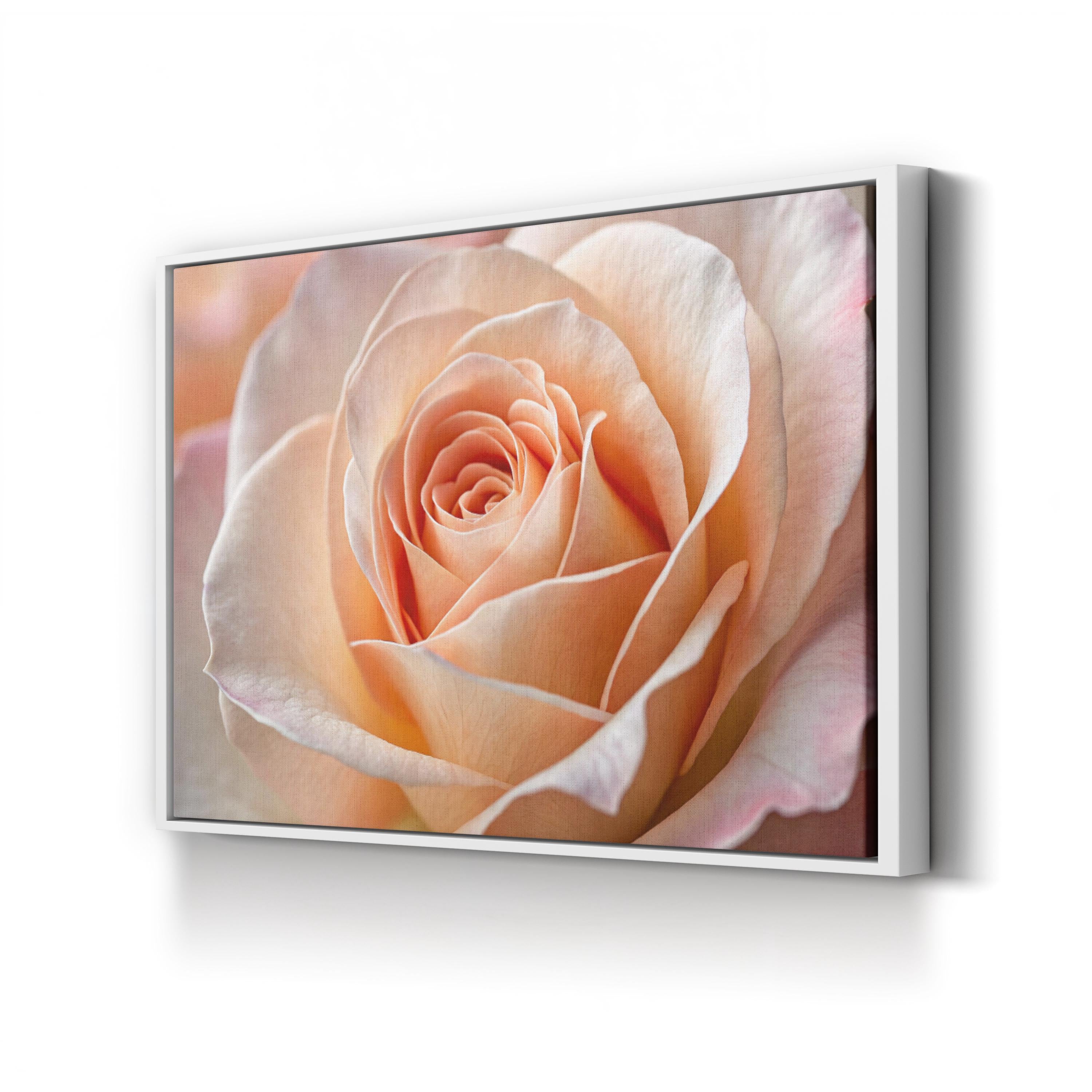Peach Rose – Vintage Photography Wall Art | Elegant Floral Canvas Print