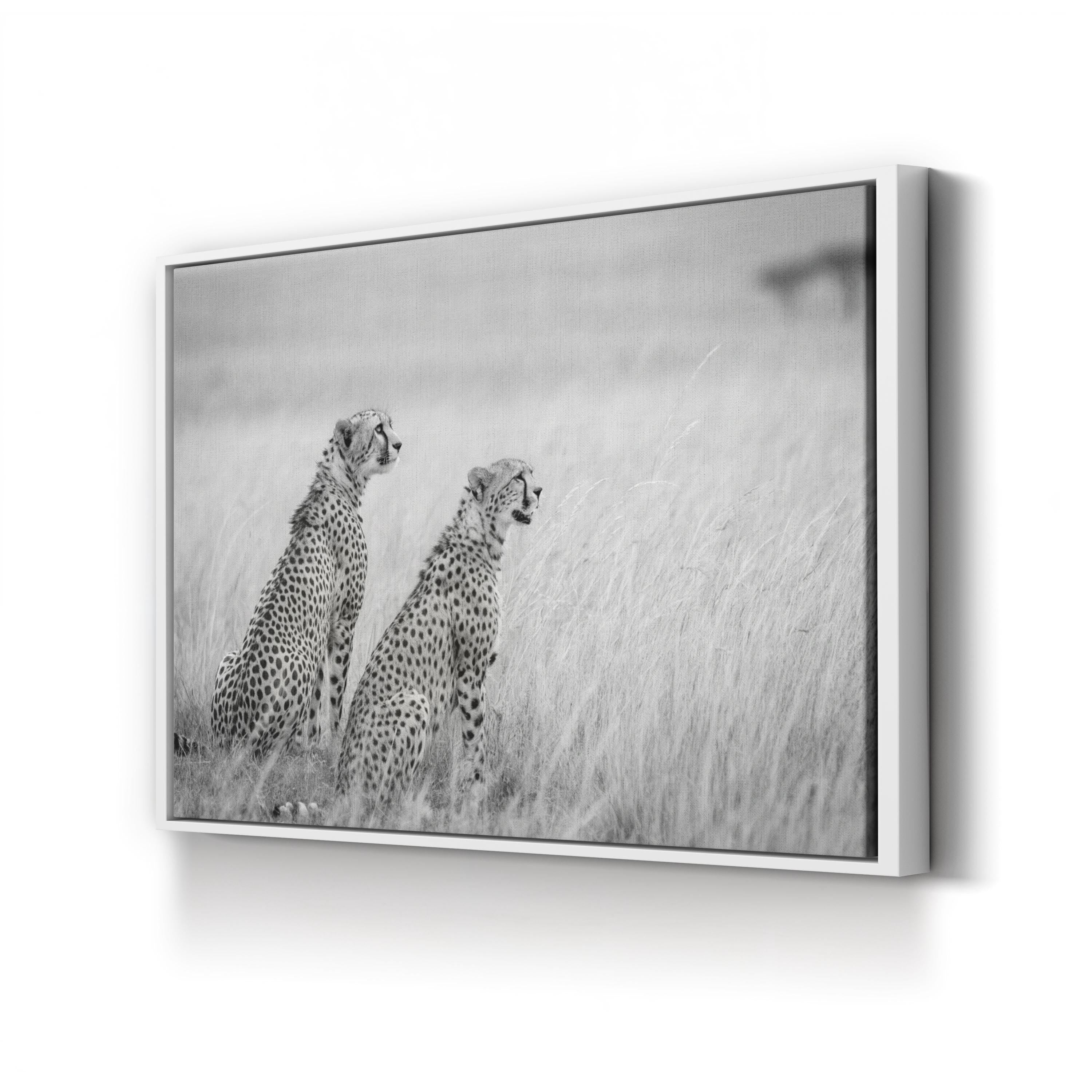 Black & White Cheetah Canvas – Safari Photography Wall Art