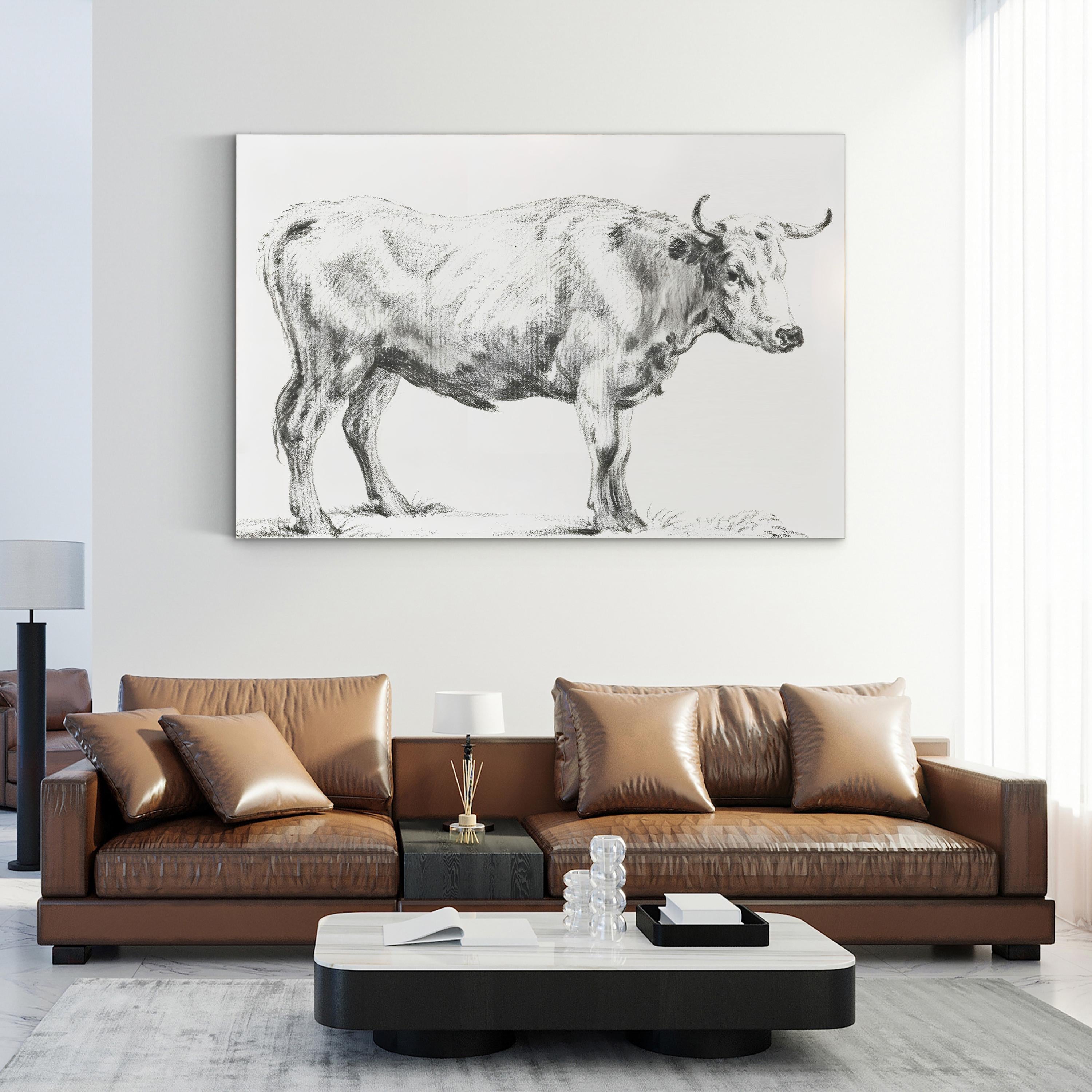 Bernard’s Bull Renderings Black and White Rustic II Wall Art by Jean Bernard