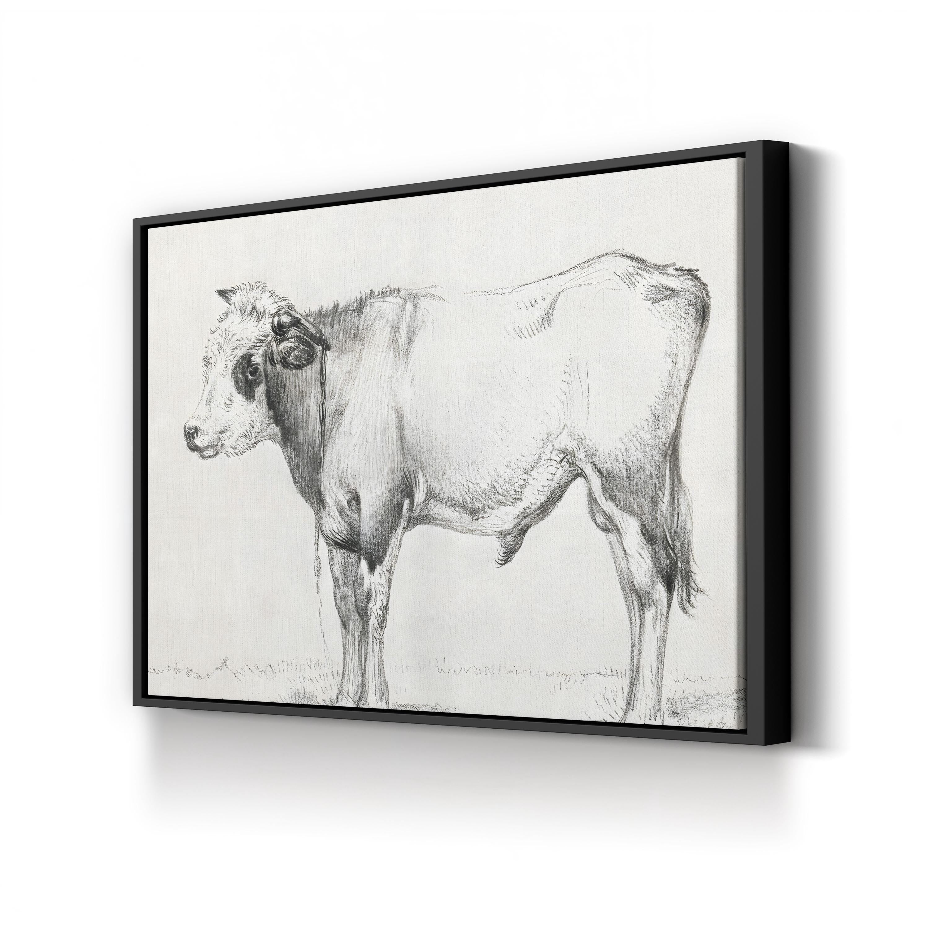 Bernard’s Bull Renderings Black and White Rustic III Wall Art by Jean Bernard