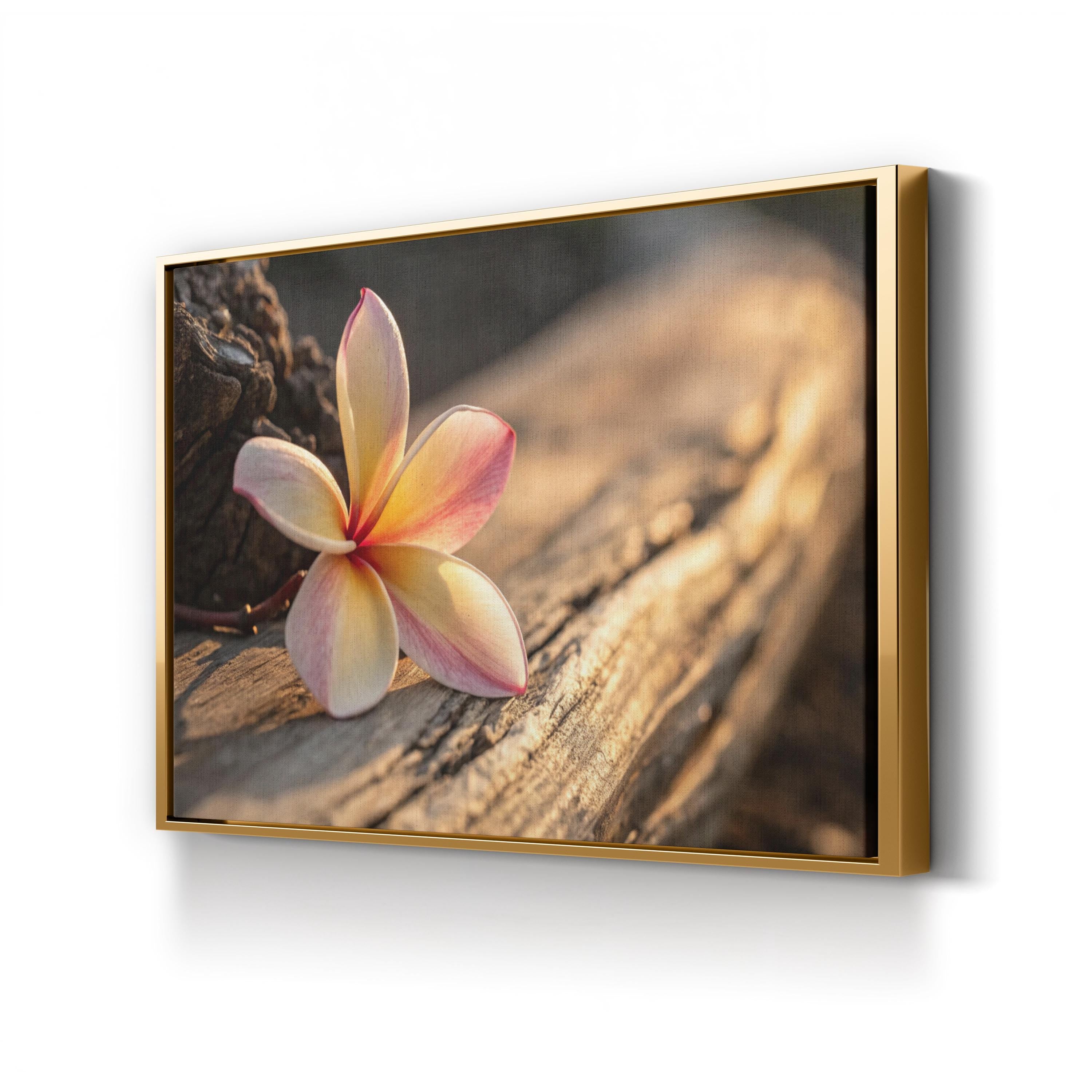 Plumeria Flower – Vintage Photography Wall Art | Tropical Botanical Canvas Print