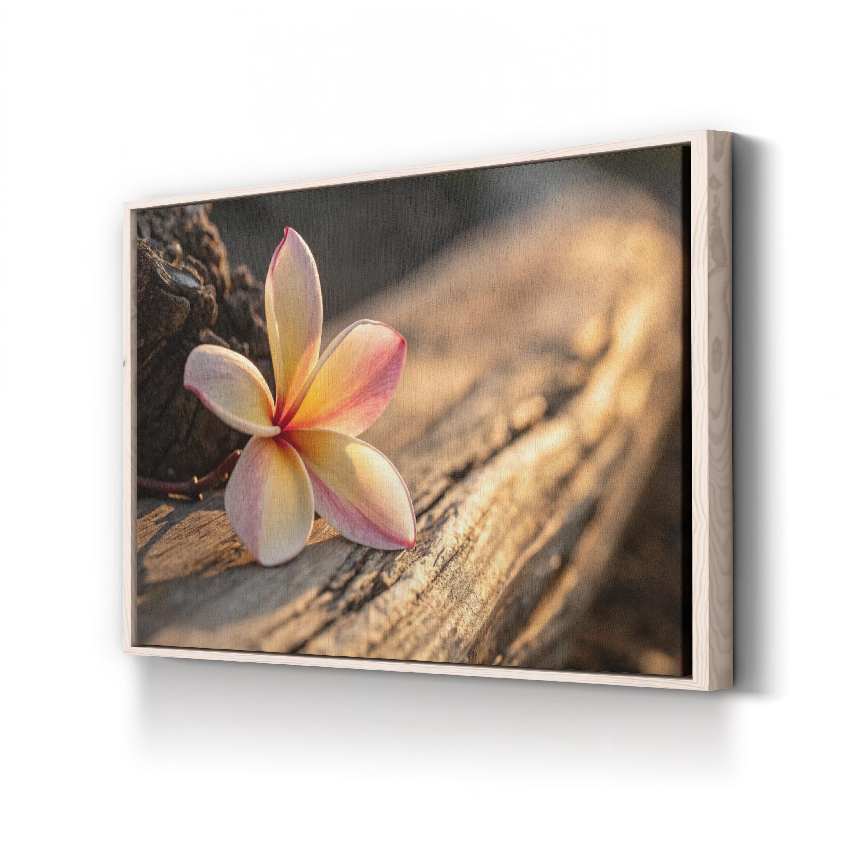 Plumeria Flower – Vintage Photography Wall Art | Tropical Botanical Canvas Print
