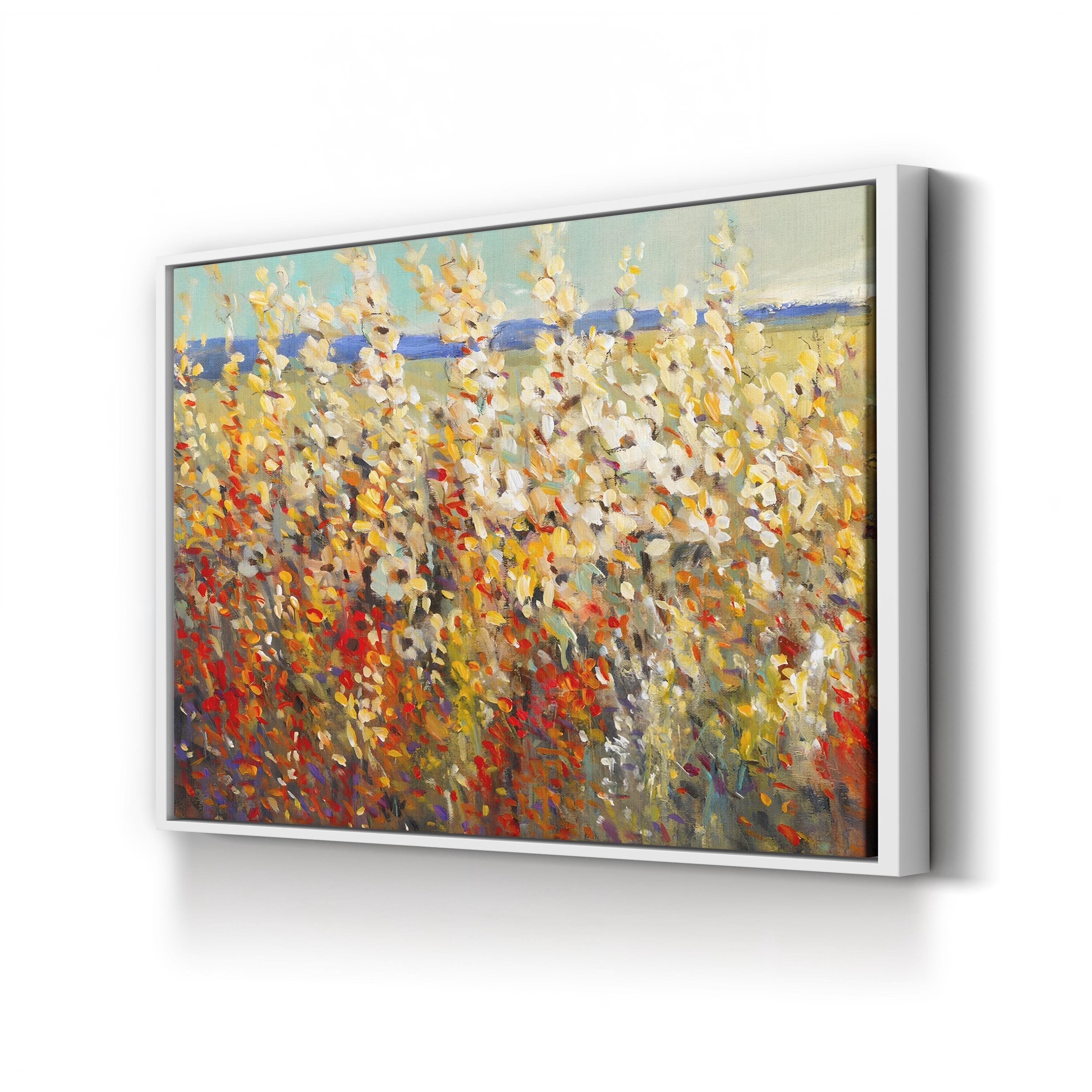 Field of Spring Flowers II Wall Art by Tim O'Toole