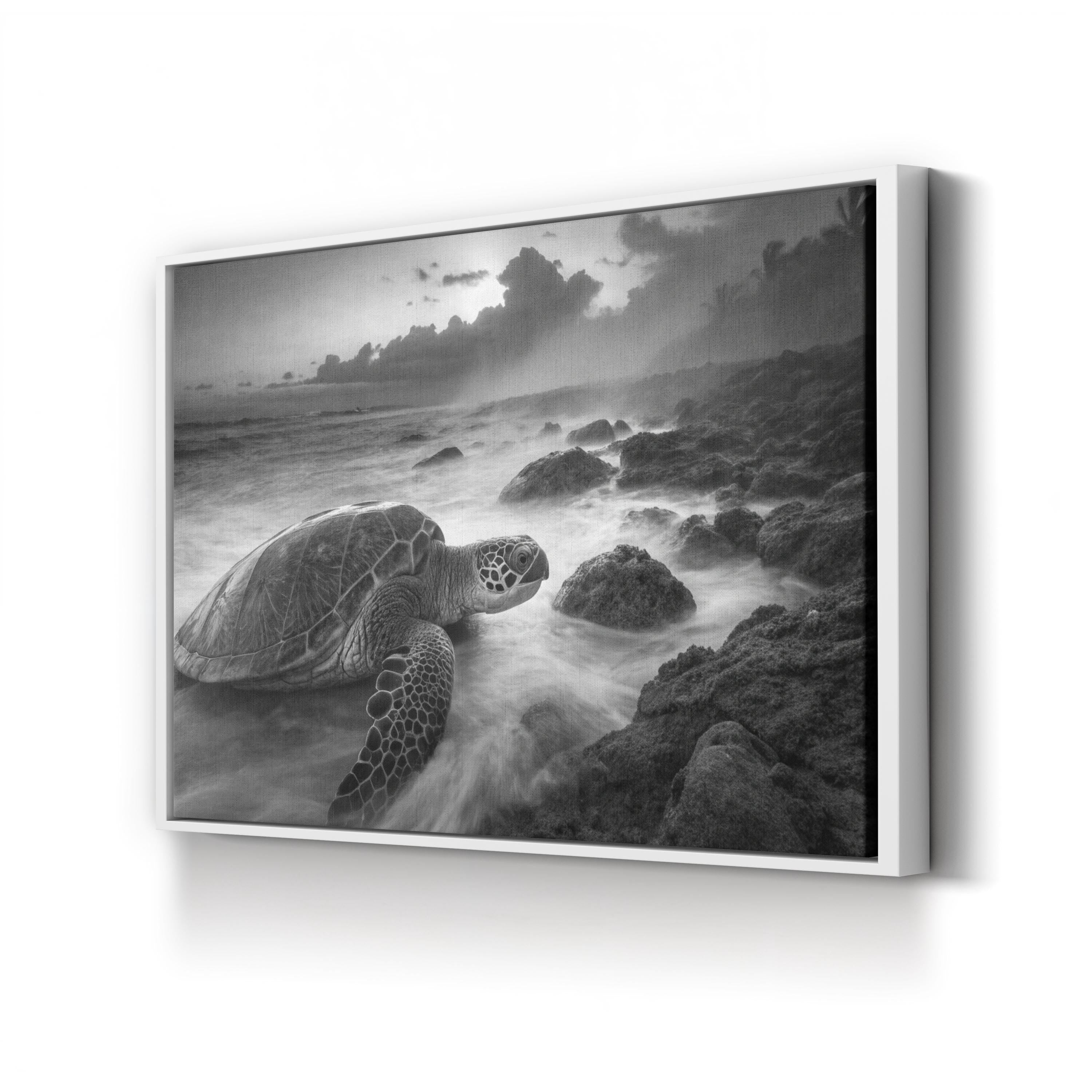 Black & White Sea Turtle – Vintage Photography Wall Art | Coastal Wildlife Canvas Print