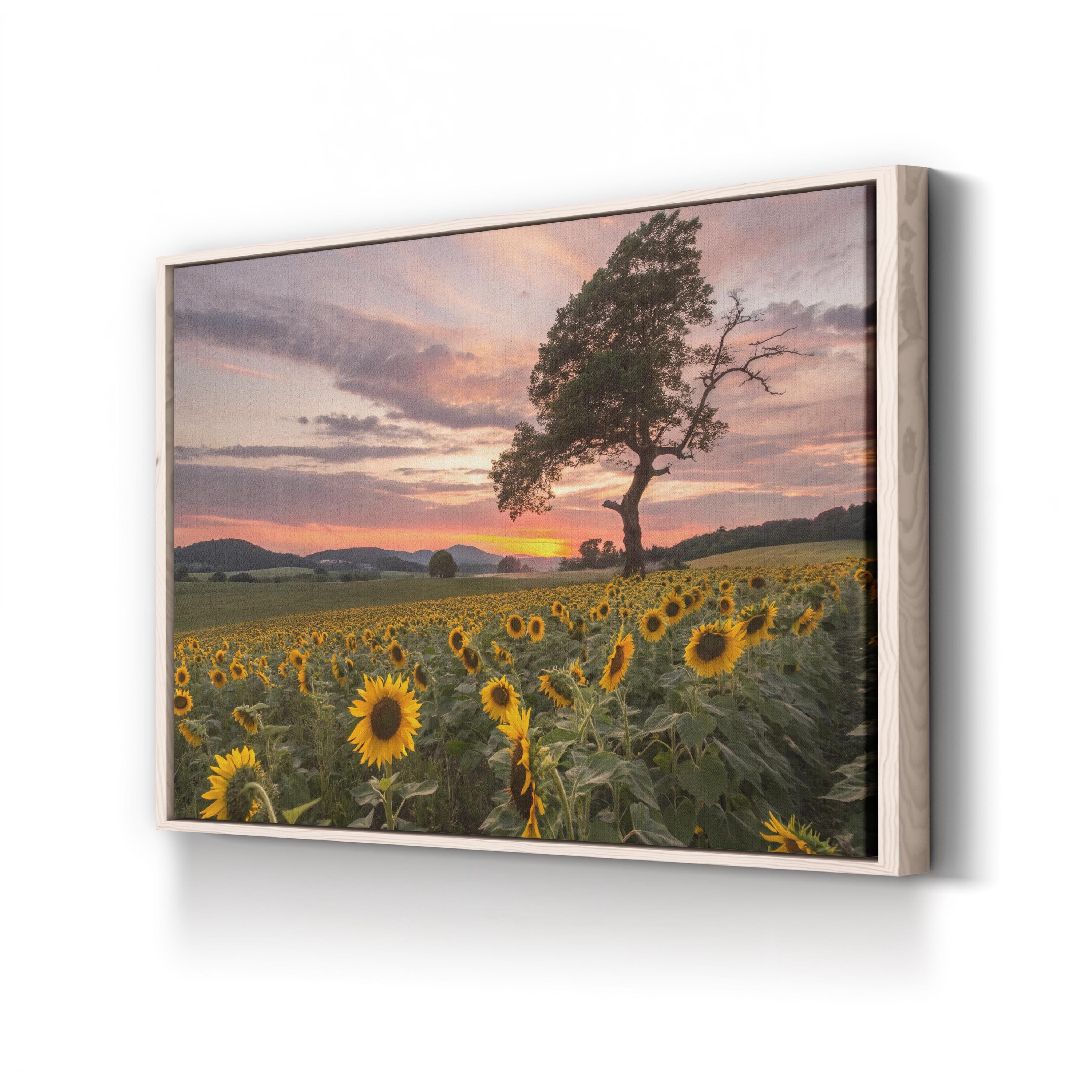 Sunflower Field at Sunset – Vintage Photography Wall Art | California Landscape Canvas Print