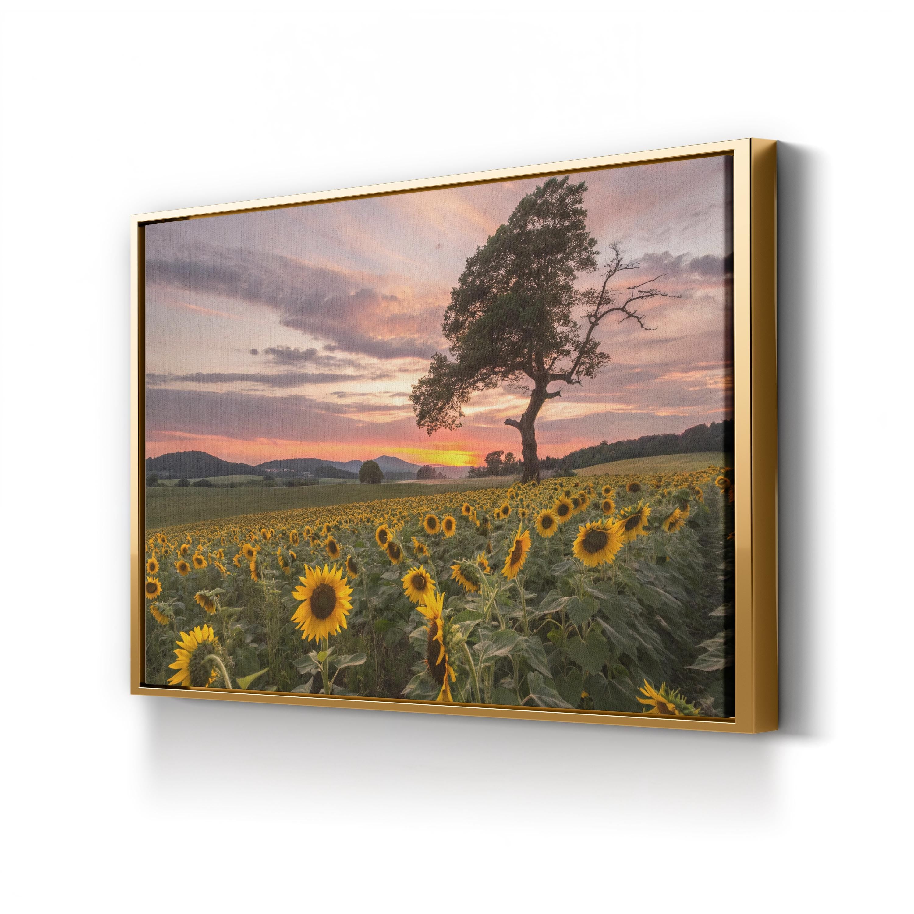Sunflower Field at Sunset – Vintage Photography Wall Art | California Landscape Canvas Print