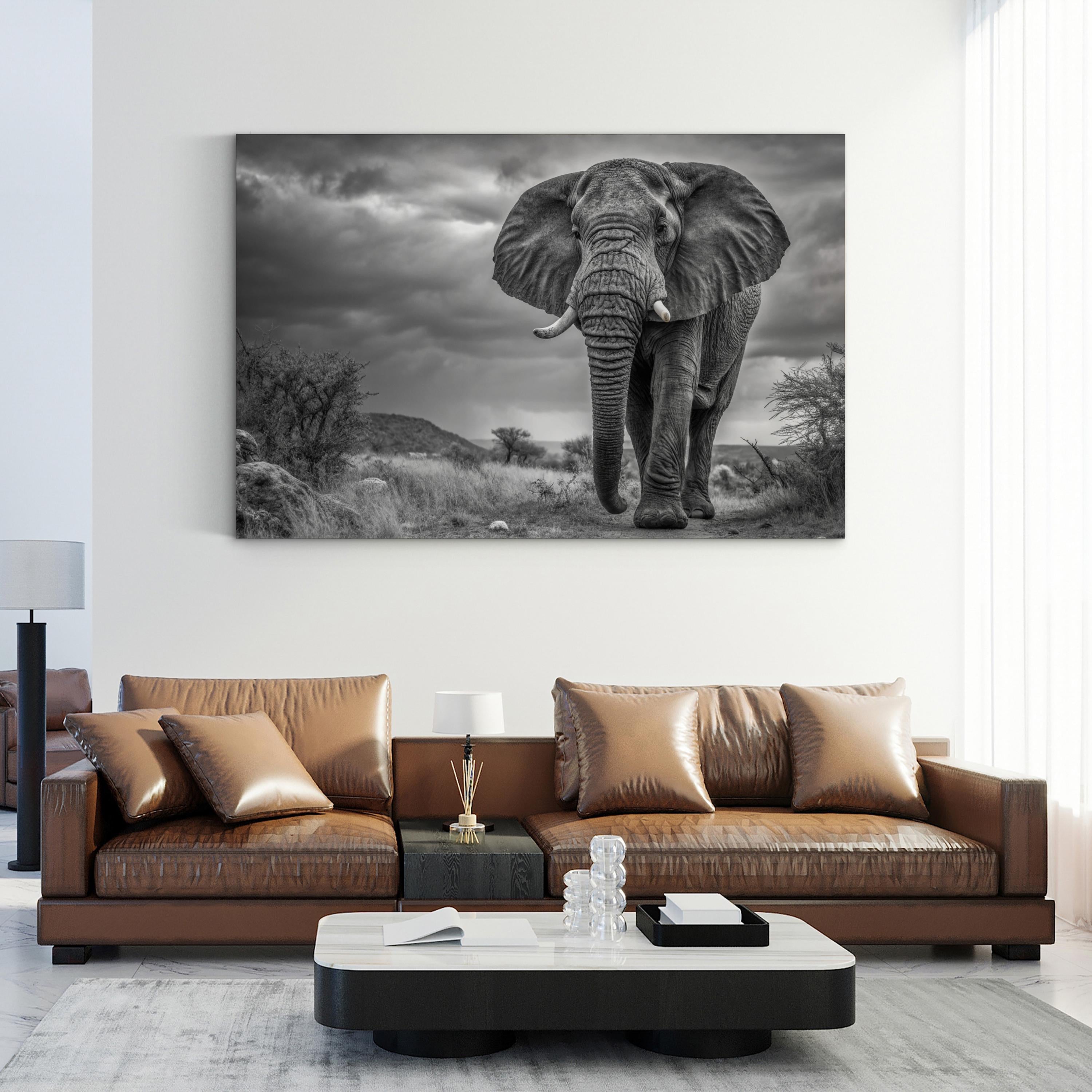 Elephant Natasha B&W Canvas – Modern Wildlife Wall Art