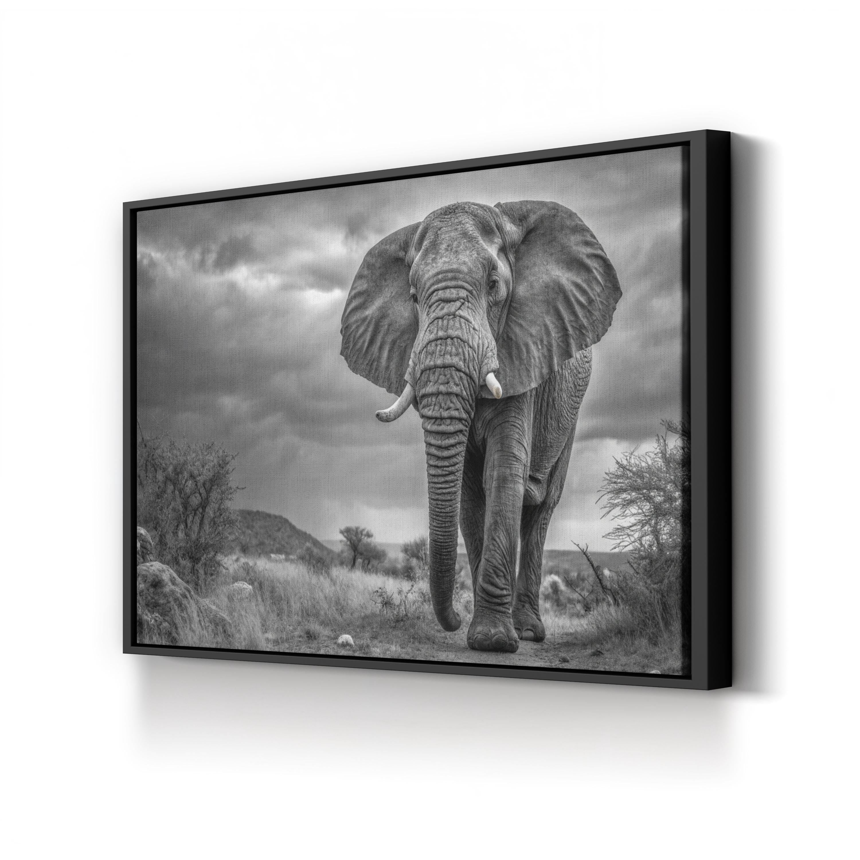 Elephant Natasha B&W Canvas – Modern Wildlife Wall Art