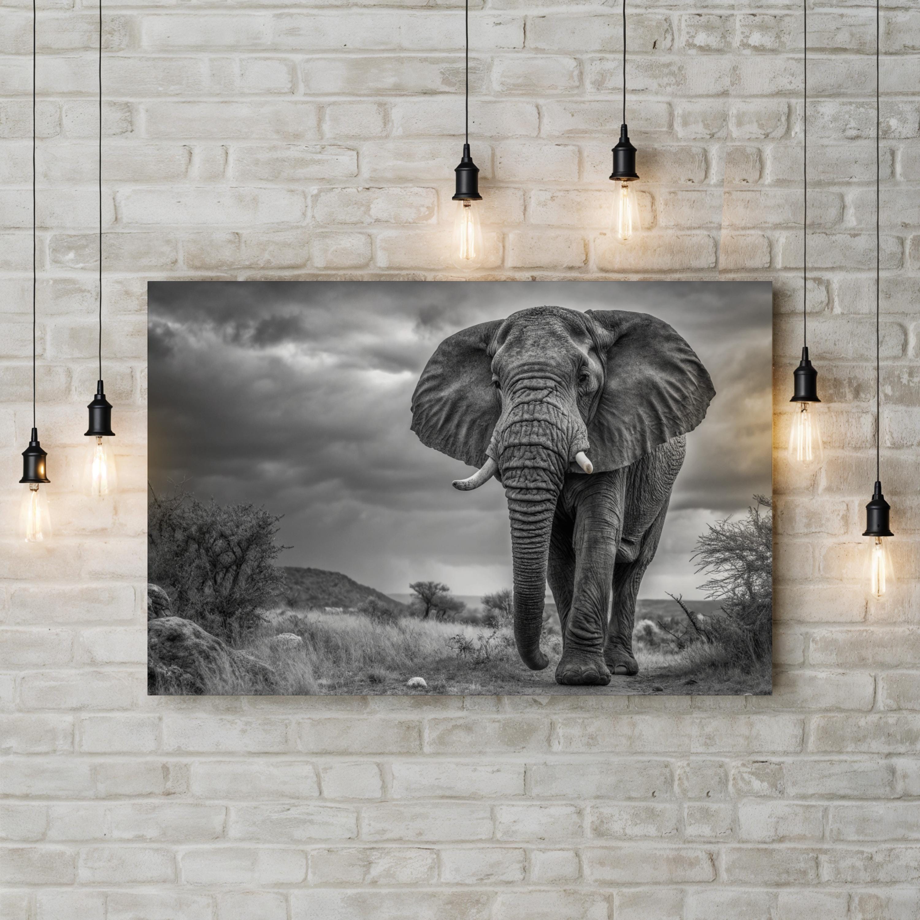 Elephant Natasha B&W Canvas – Modern Wildlife Wall Art