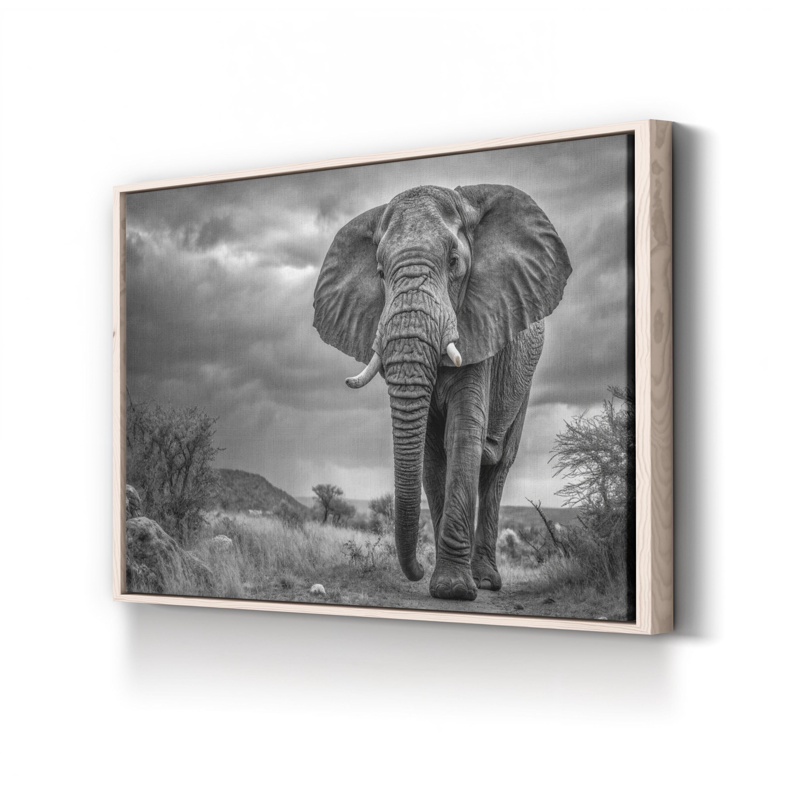 Elephant Natasha B&W Canvas – Modern Wildlife Wall Art