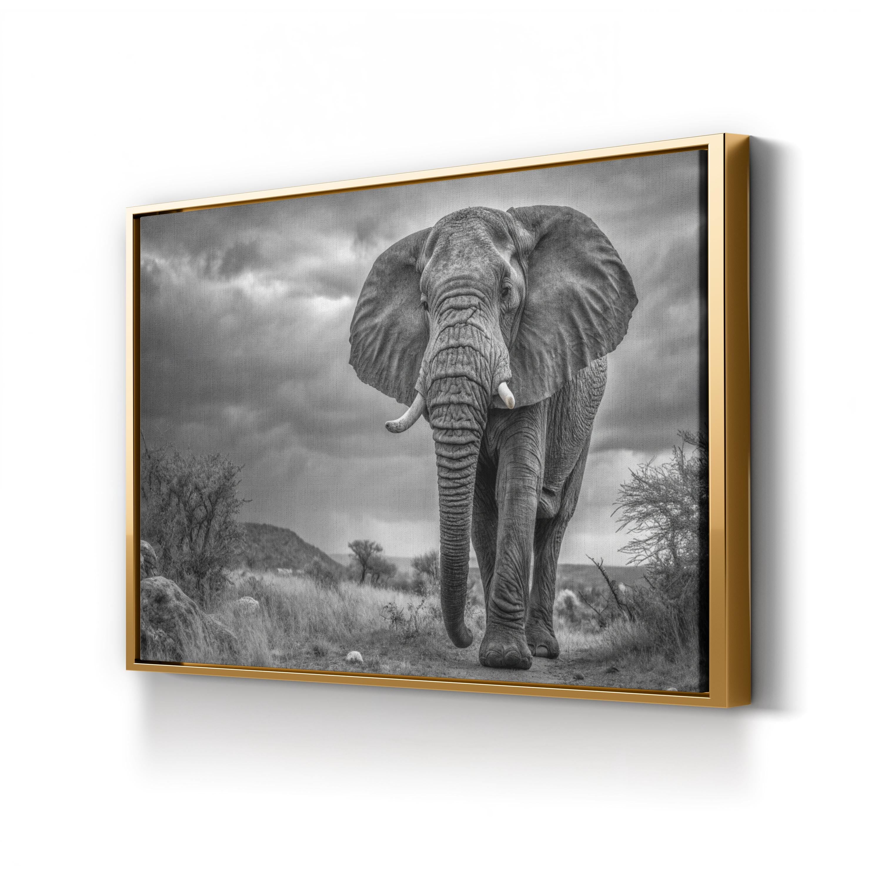 Elephant Natasha B&W Canvas – Modern Wildlife Wall Art