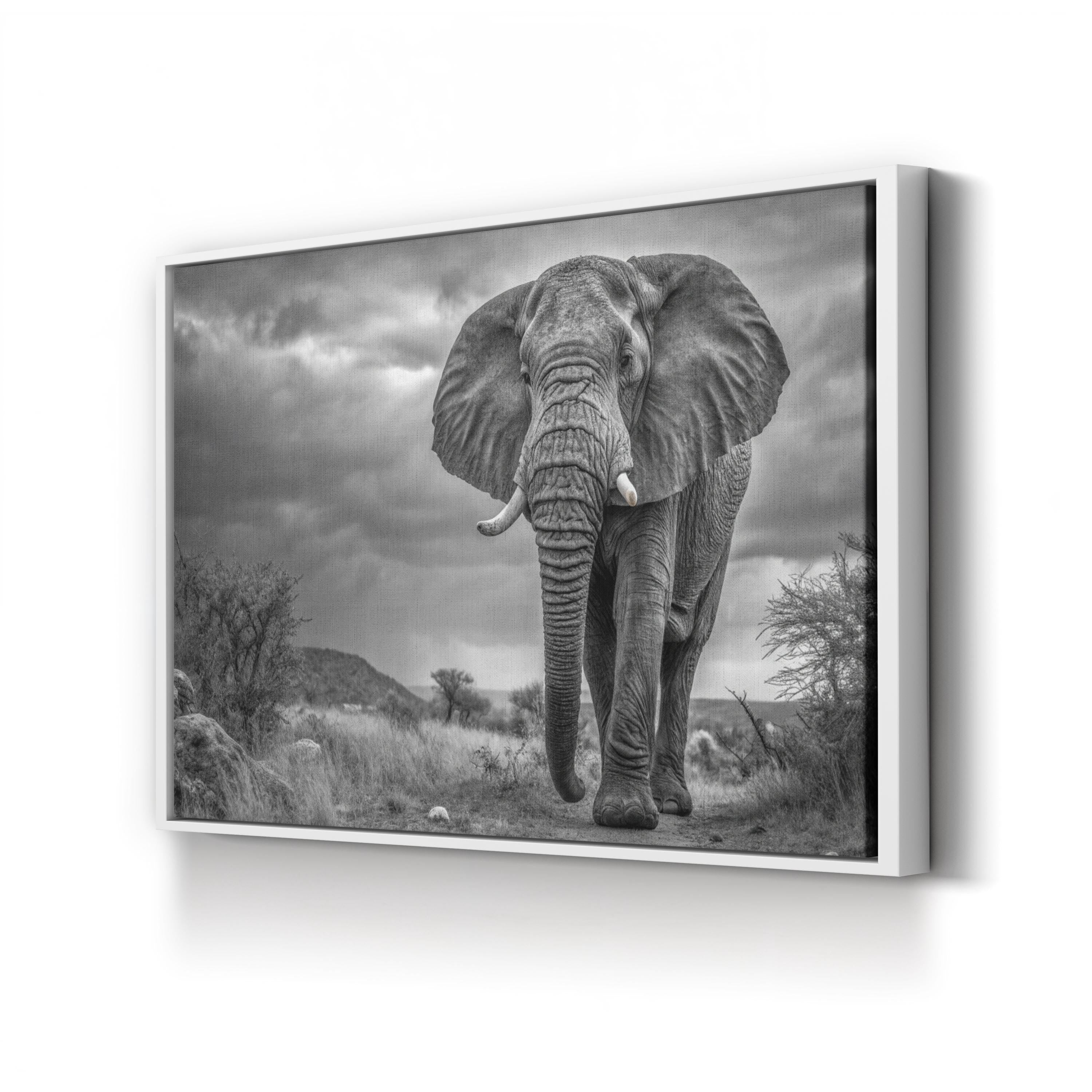 Elephant Natasha B&W Canvas – Modern Wildlife Wall Art