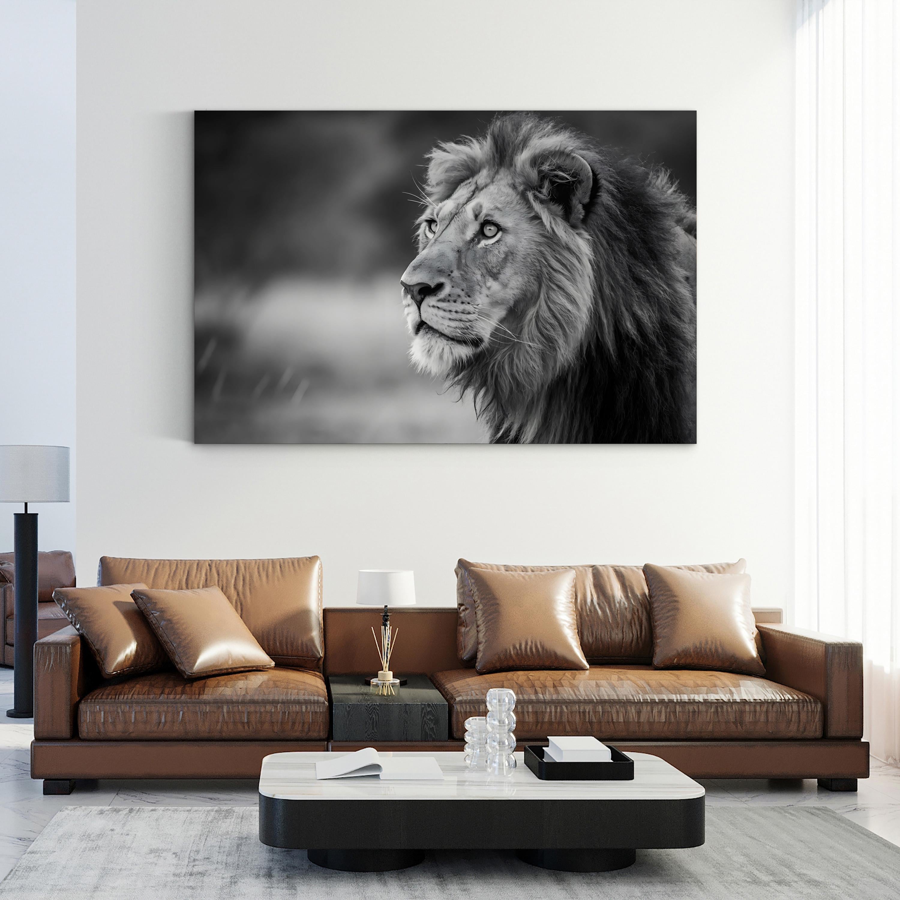 Majestic Lion Head – Vintage Photography Wall Art | Black & White Wildlife Canvas Print