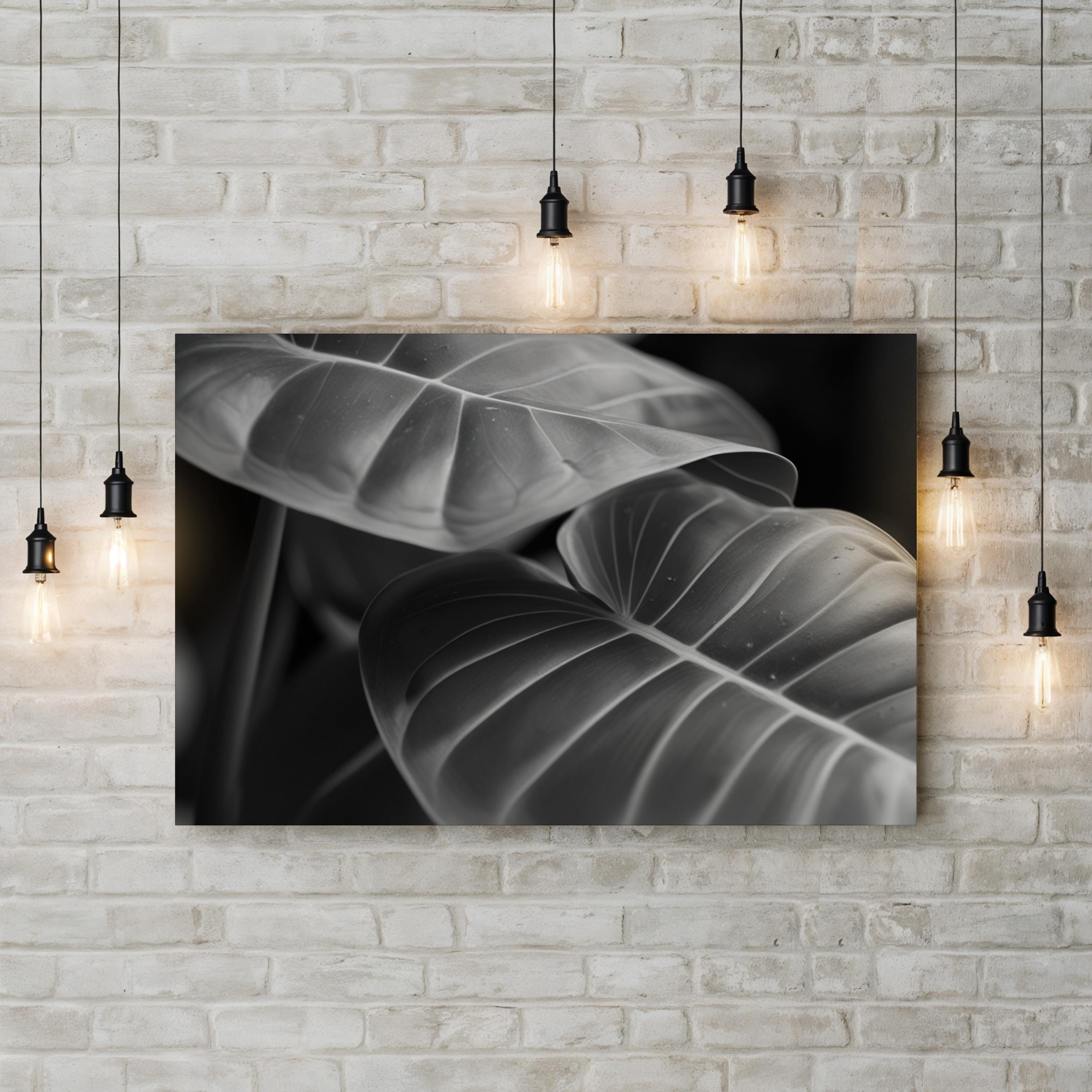 Black & White Monstera Leaf – Vintage Photography Wall Art | Modern Botanical Canvas Print
