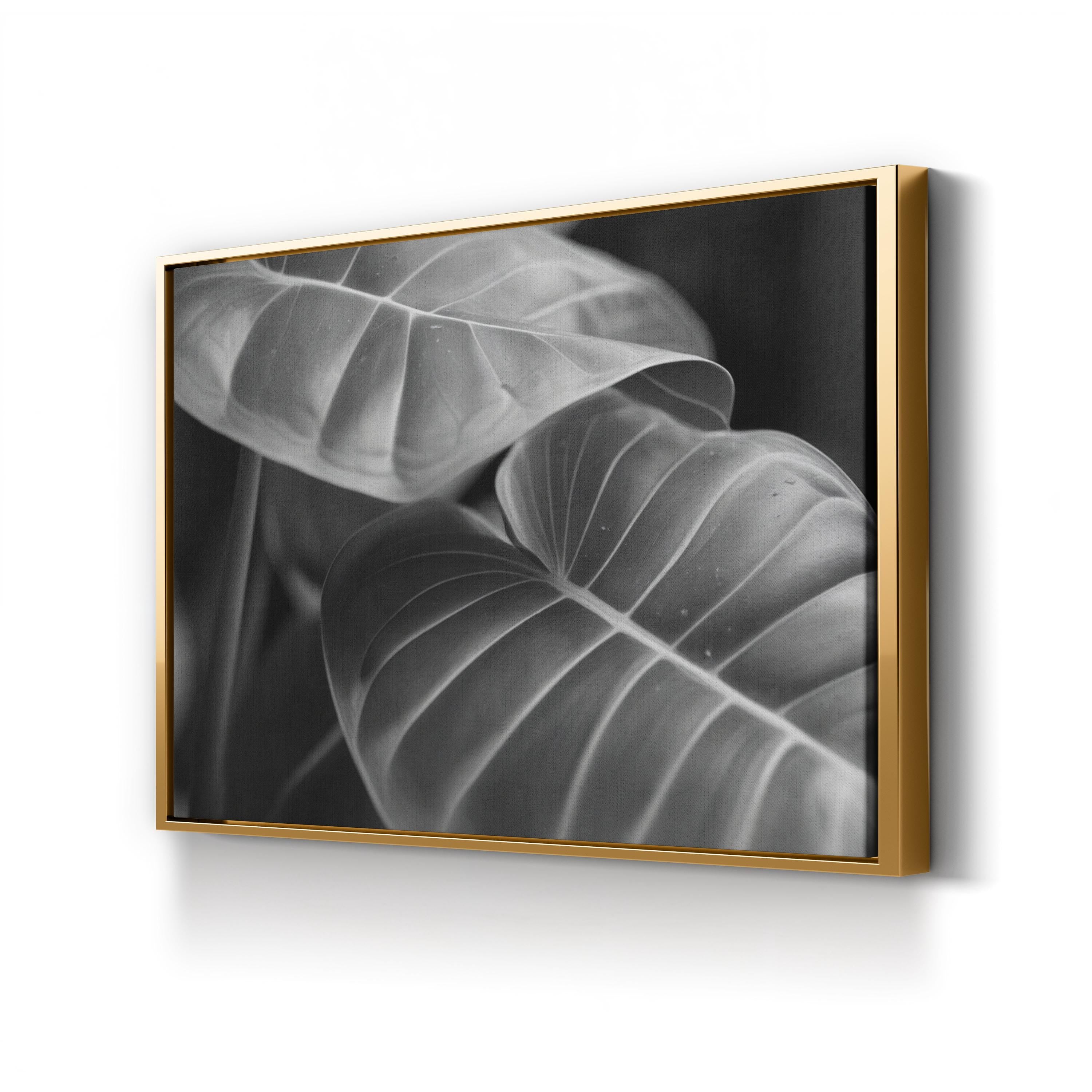 Black & White Monstera Leaf – Vintage Photography Wall Art | Modern Botanical Canvas Print