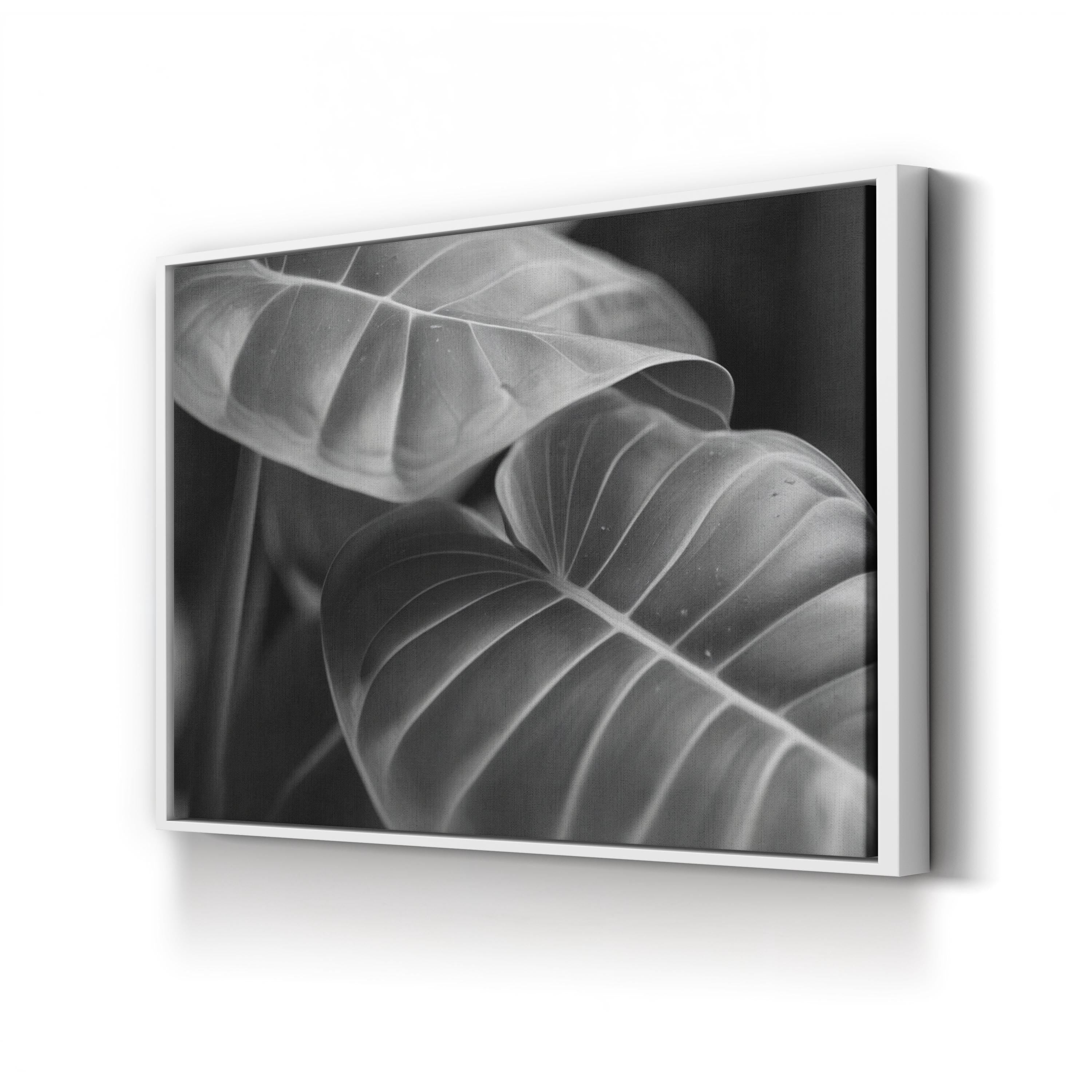 Black & White Monstera Leaf – Vintage Photography Wall Art | Modern Botanical Canvas Print