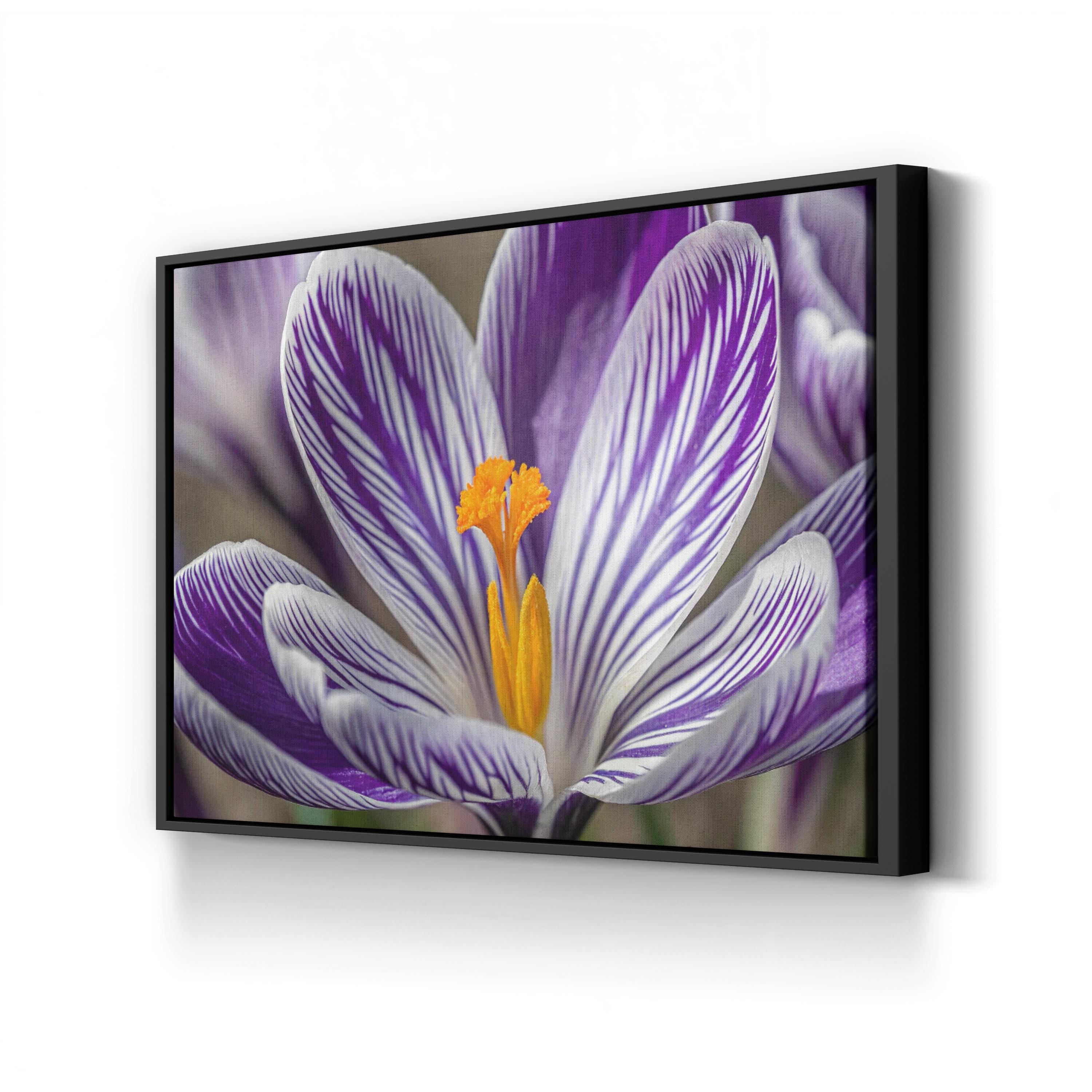 Purple Crocus – Vintage Photography Wall Art | Vibrant Botanical Canvas Print