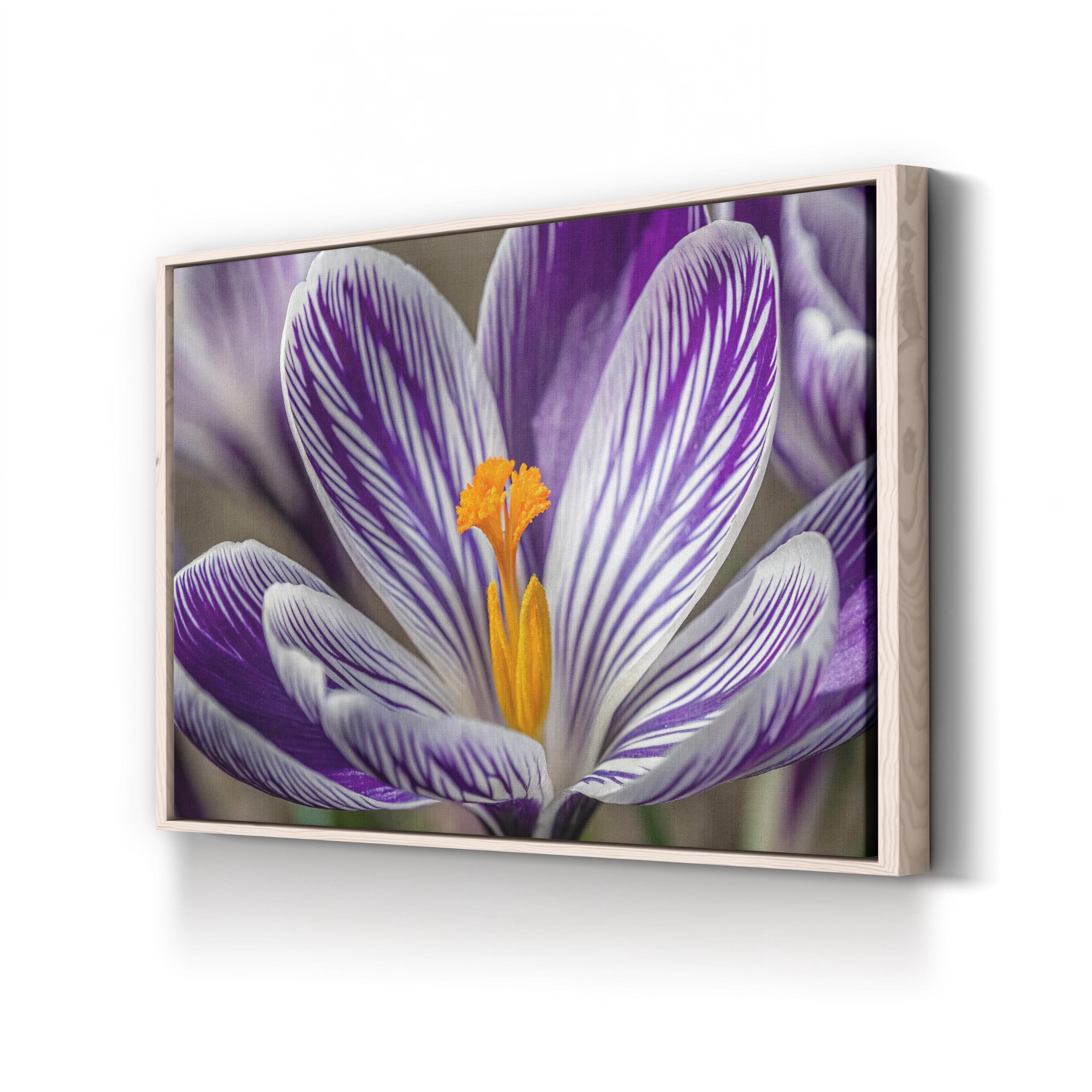 Purple Crocus – Vintage Photography Wall Art | Vibrant Botanical Canvas Print