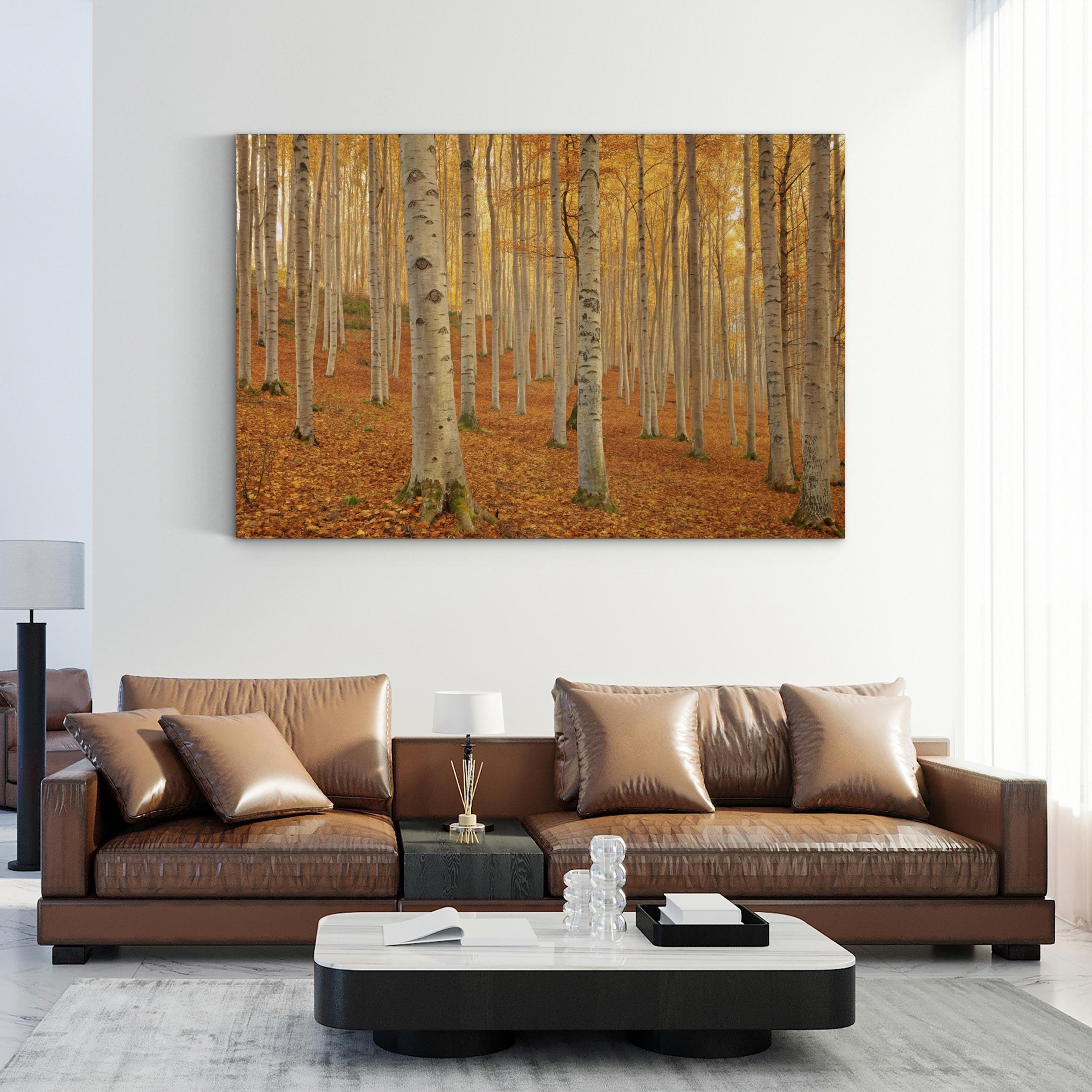 Autumn Beech Grove – Period Illustration Wall Art | Forest Path Canvas Print