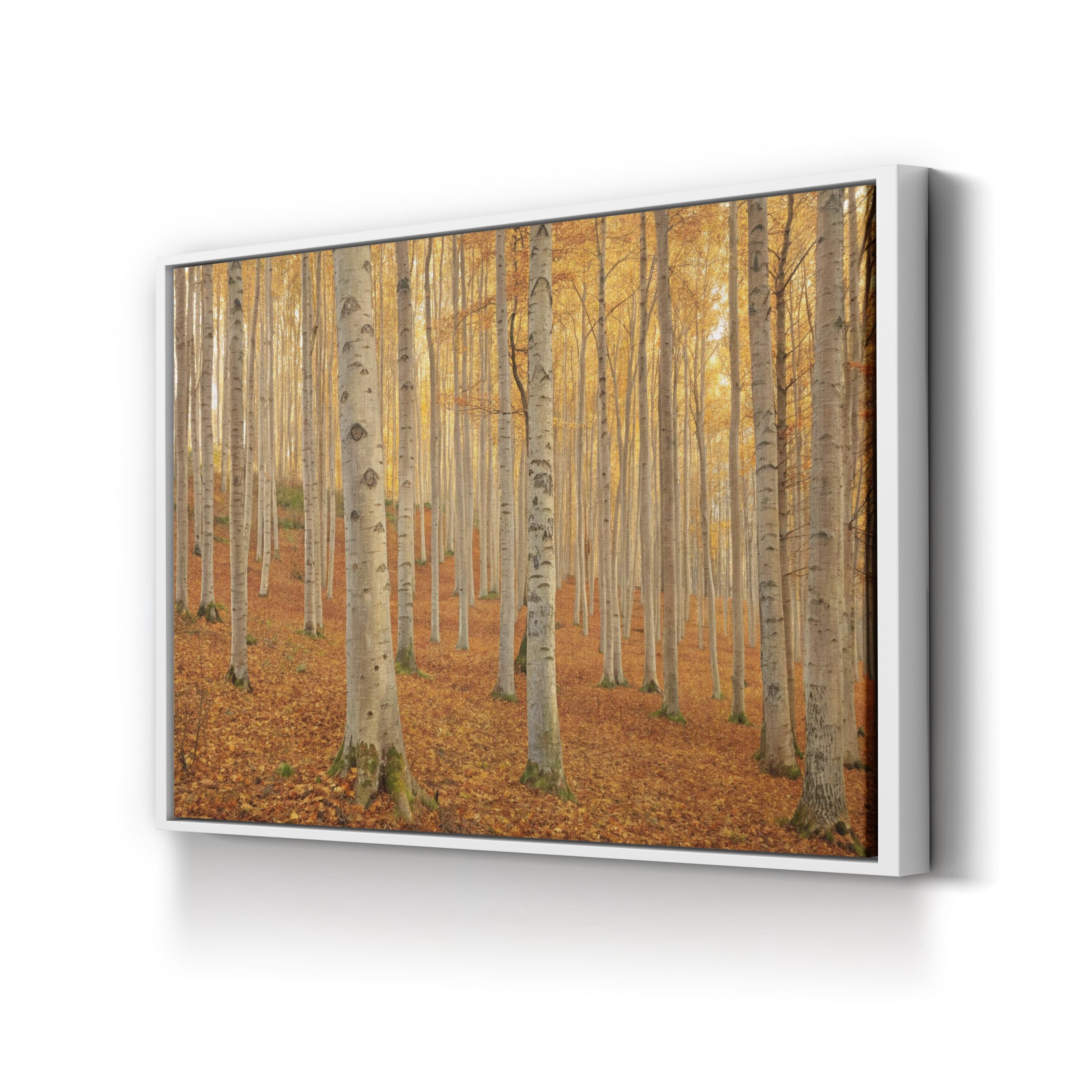 Autumn Beech Grove – Period Illustration Wall Art | Forest Path Canvas Print