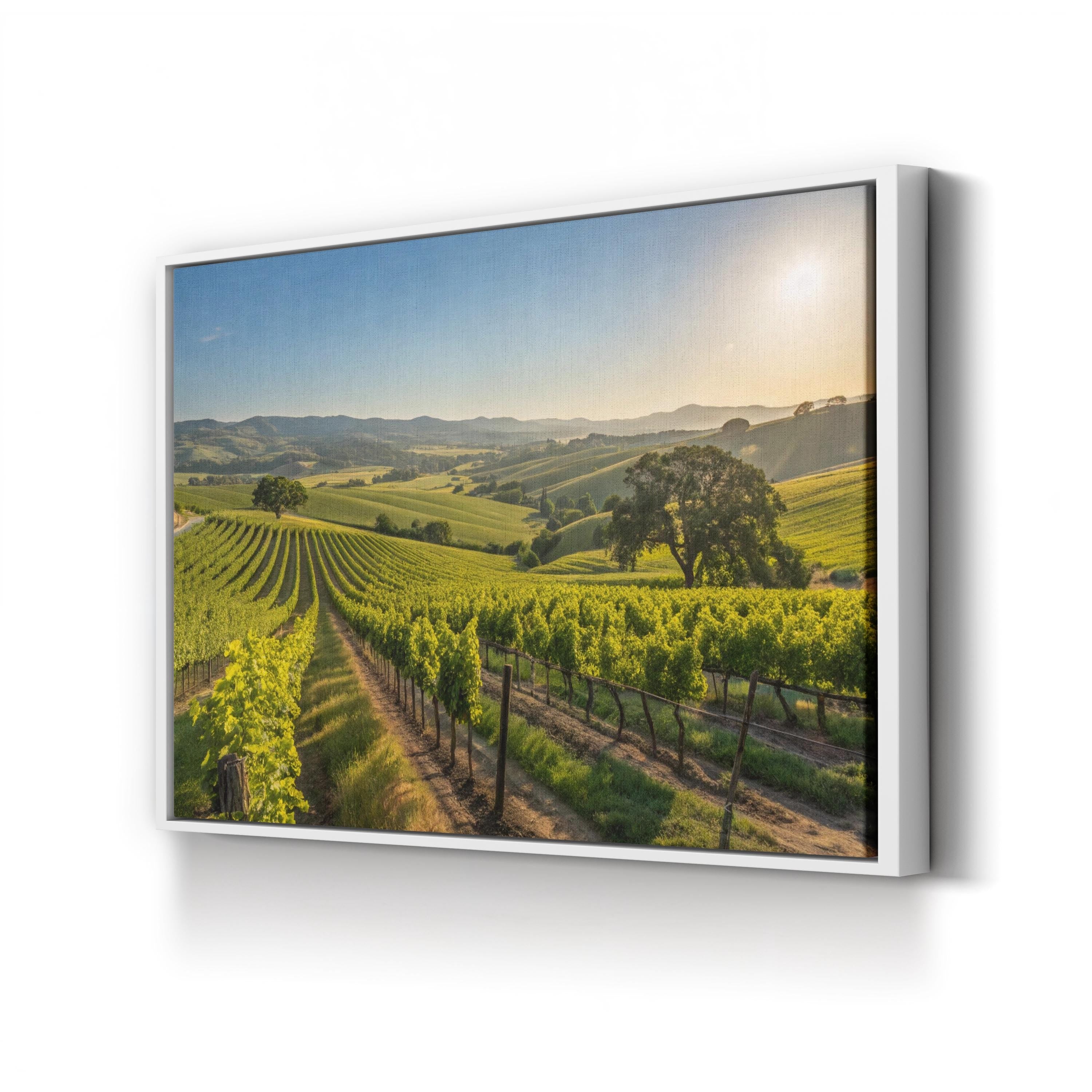 California Vineyard Wine Country – Vintage Photography Wall Art | Landscape Canvas Print