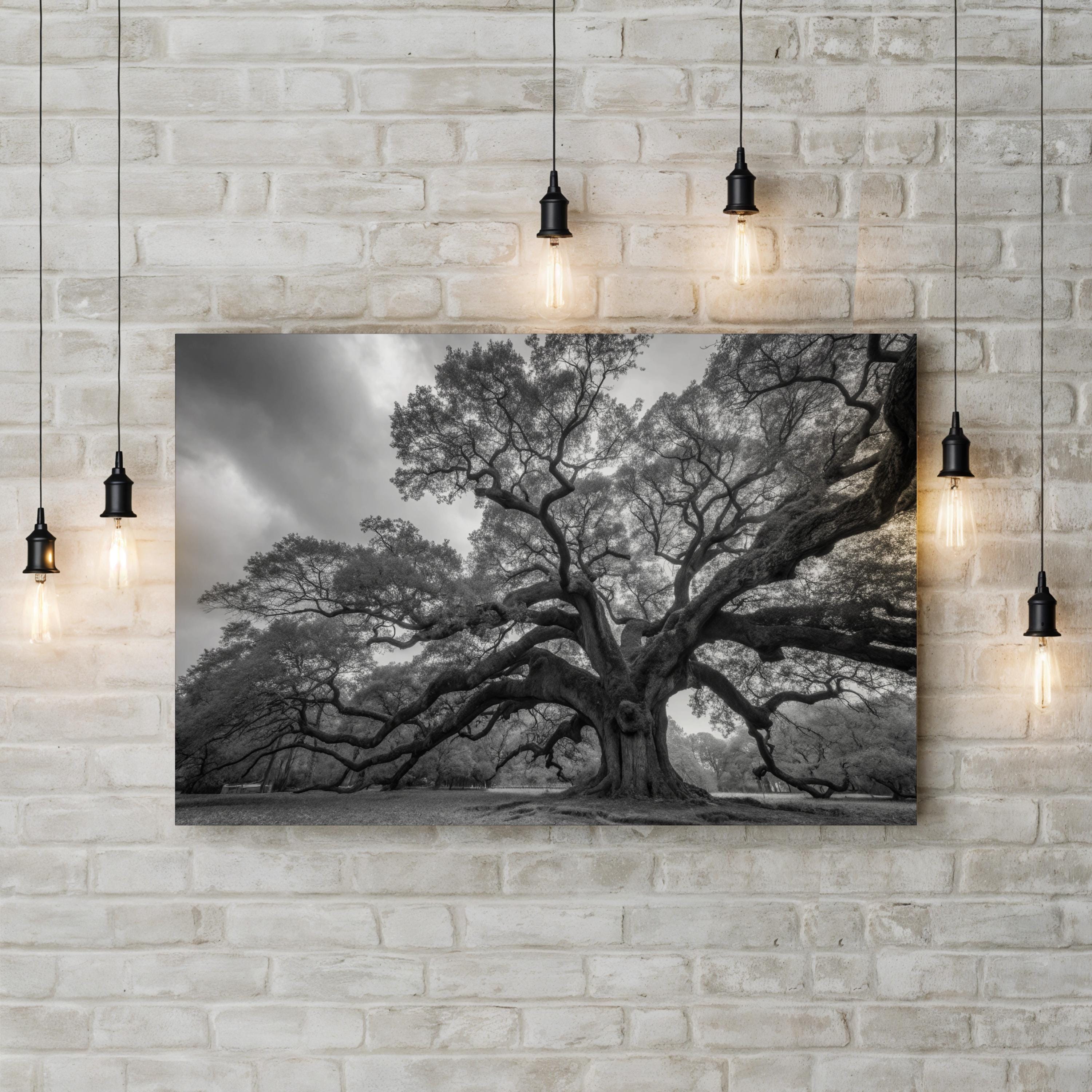 Charleston’s Angel Oak: Monumental Black & White Photography