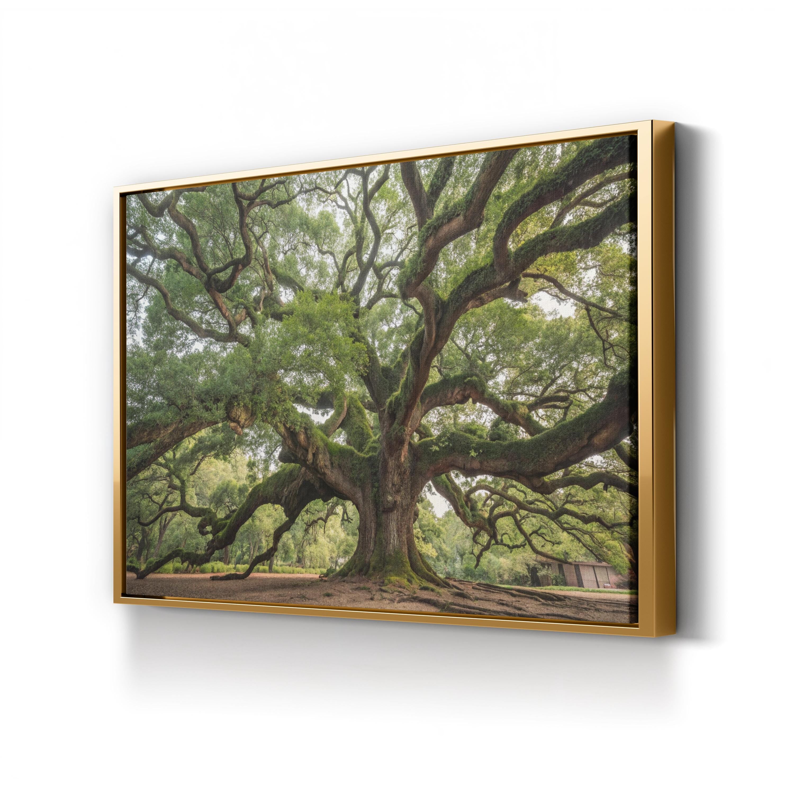 Charleston Angel Oak – Vintage Photography Wall Art | Southern Landscape Canvas Print