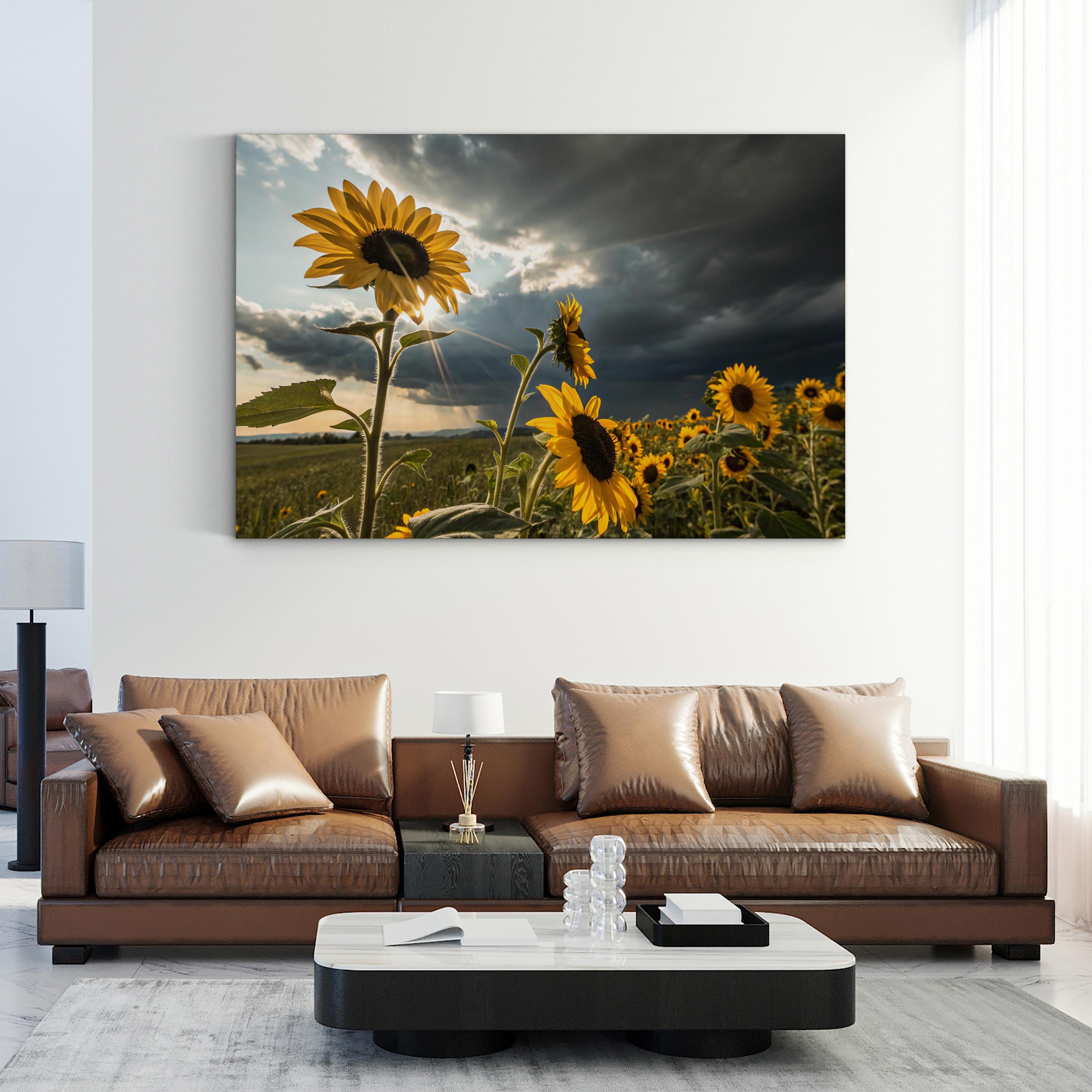 Sunflower Field at Dusk – Vintage Photography Wall Art | Dramatic Landscape Canvas Print