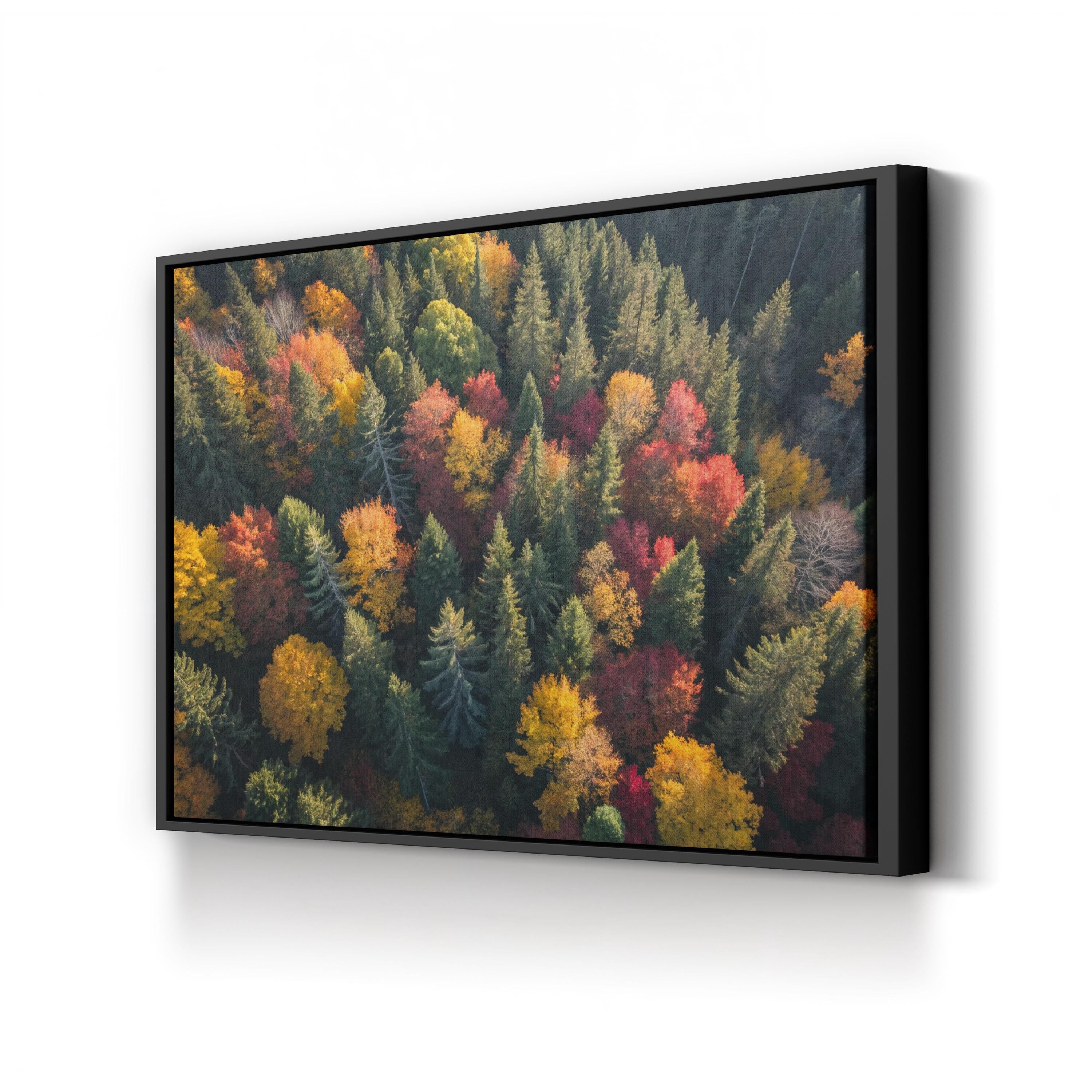 Autumn Forest Canopy Aerial – Vintage Photography Wall Art | Fall Foliage Canvas Print
