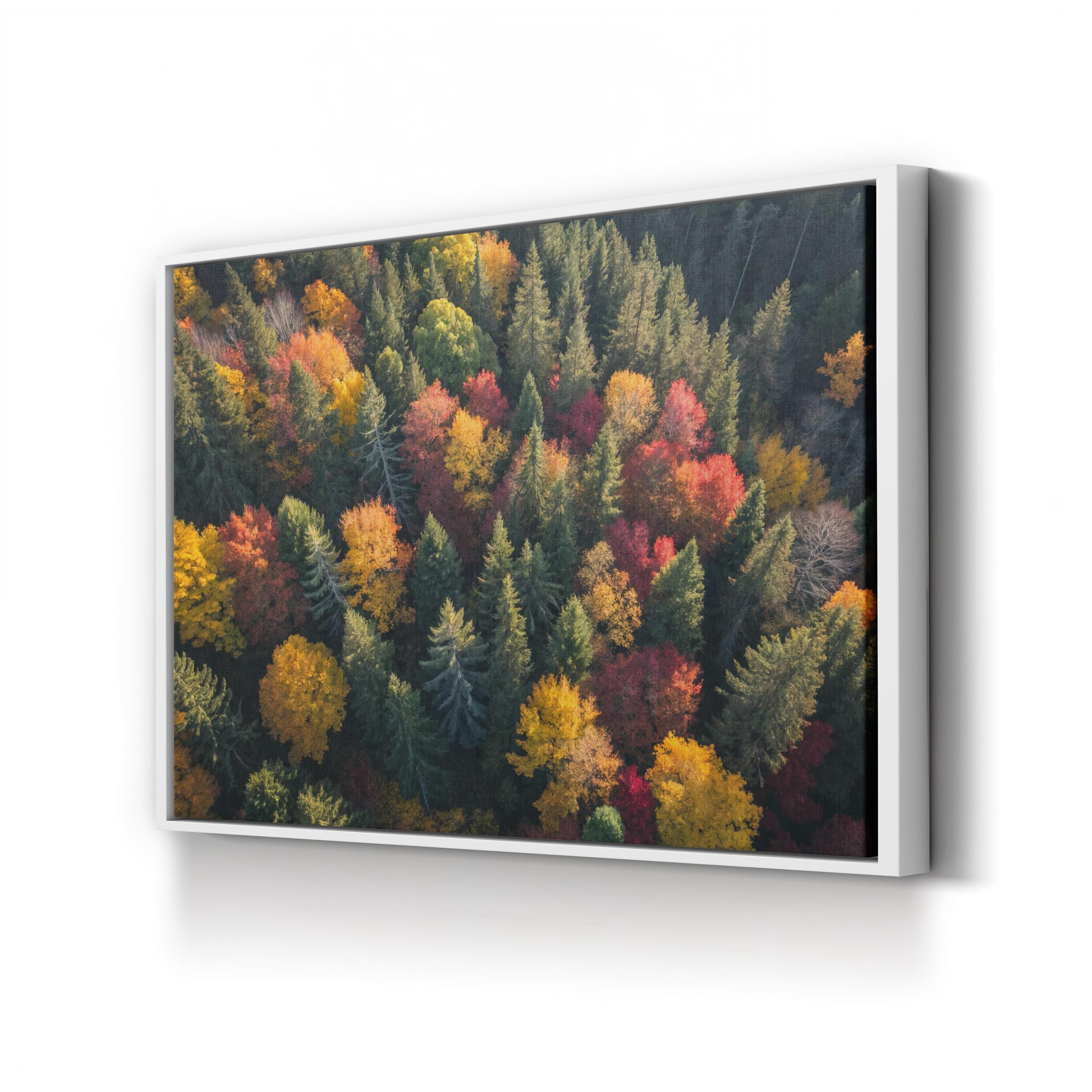 Autumn Forest Canopy Aerial – Vintage Photography Wall Art | Fall Foliage Canvas Print
