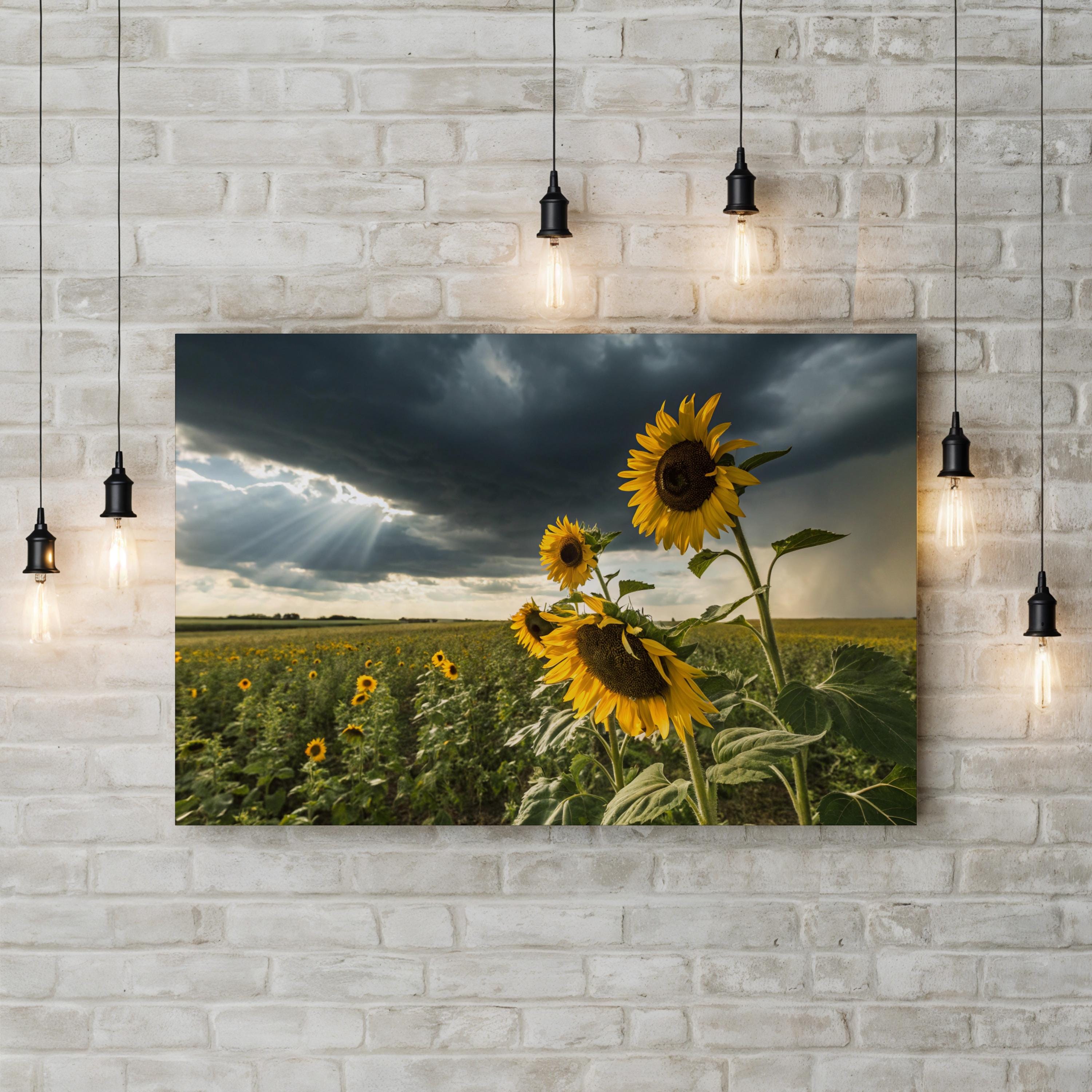 Sunflower Field – Period Illustration Wall Art | Nature Landscape Canvas Print