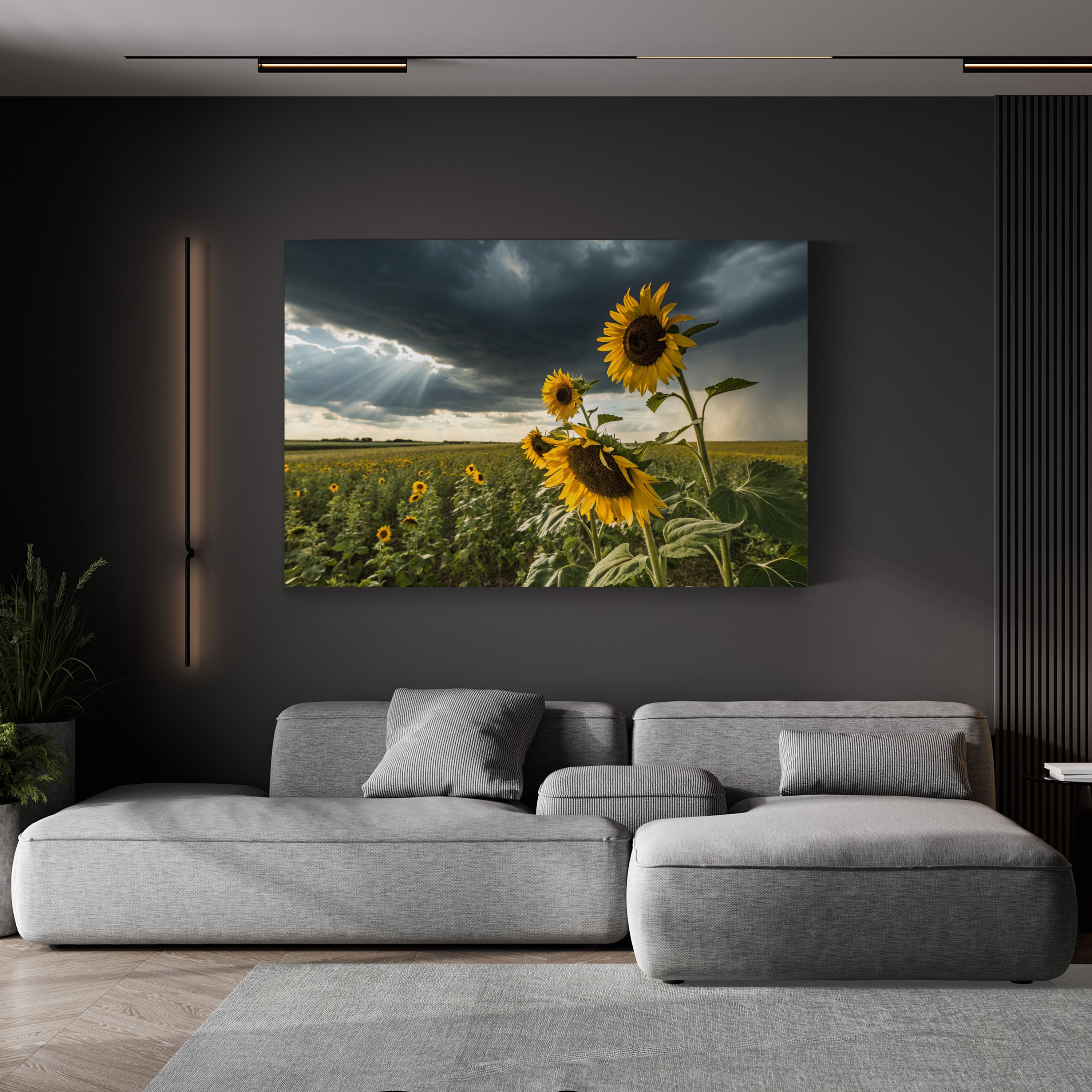 Sunflower Field – Period Illustration Wall Art | Nature Landscape Canvas Print