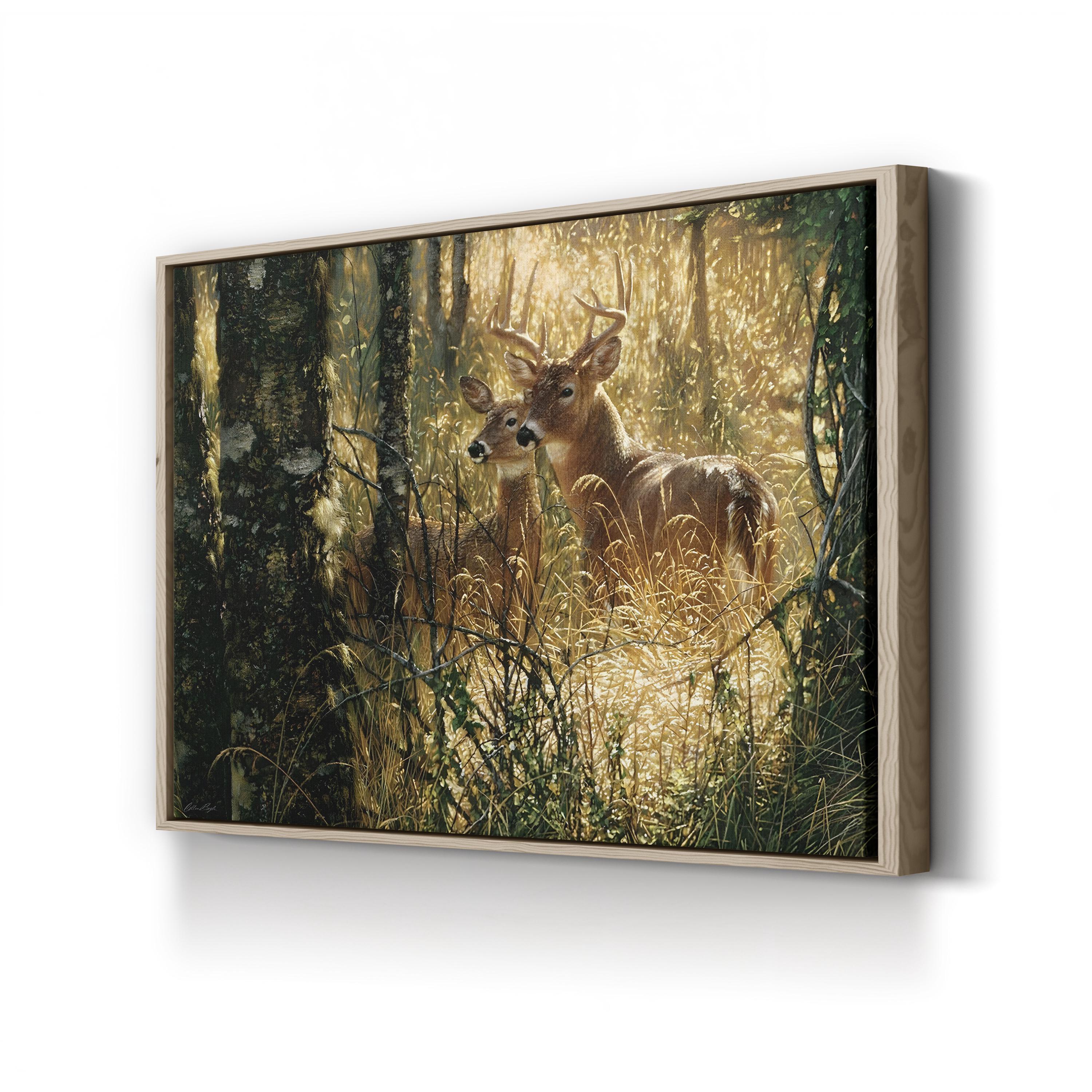 Whitetail Deer in Misty Forest – Vintage Photography Wall Art | Wildlife Canvas Print