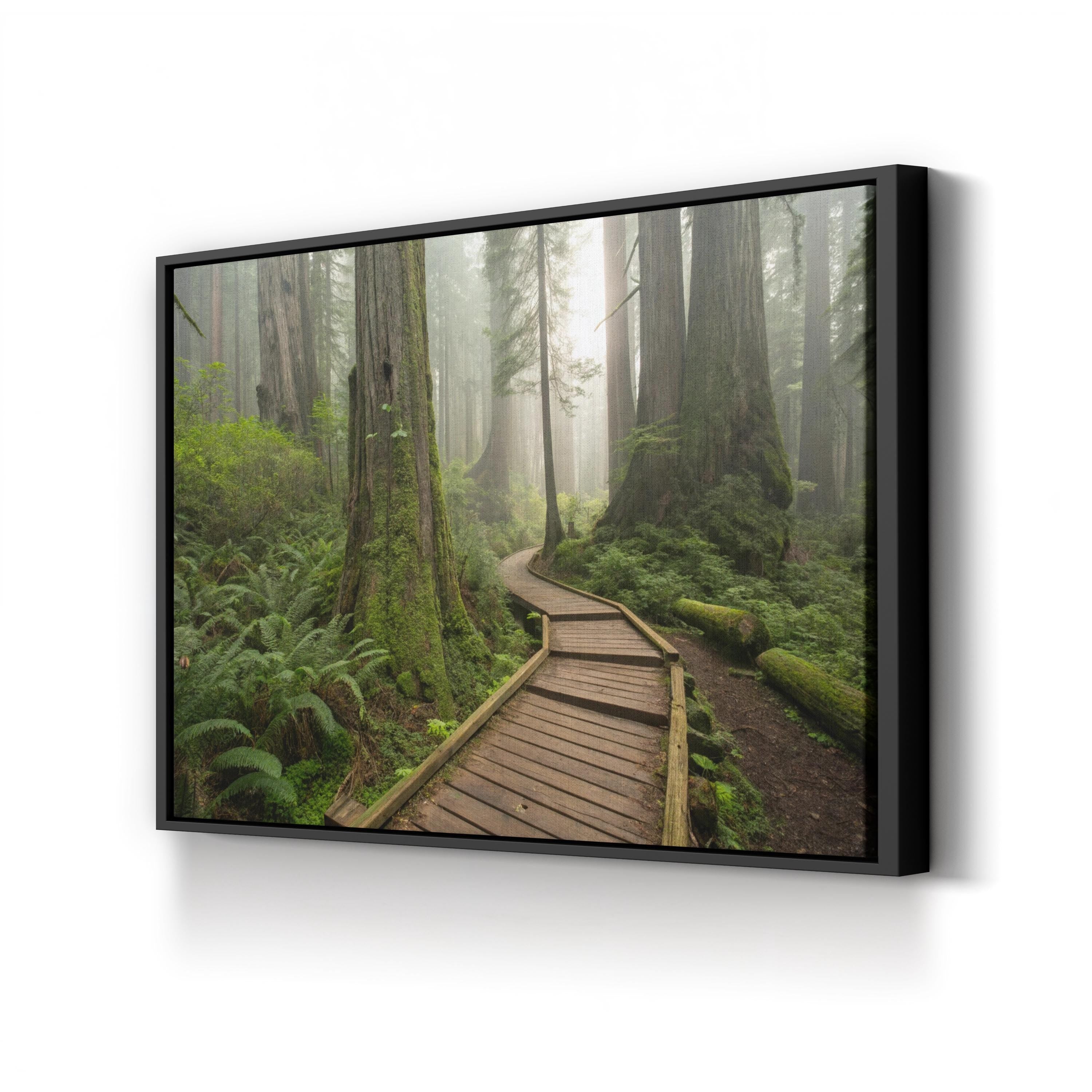 Misty Forest Pathway – Vintage Photography Wall Art | Serene Nature Canvas Print